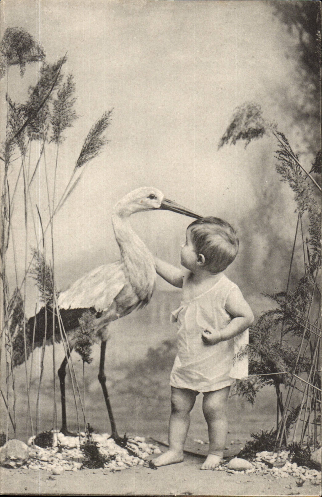 CPA Fantasy Child and stork