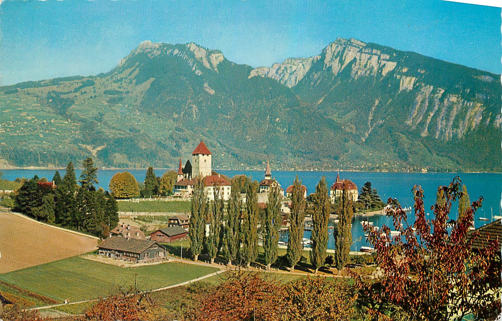 CPM Splex Rallostocke 