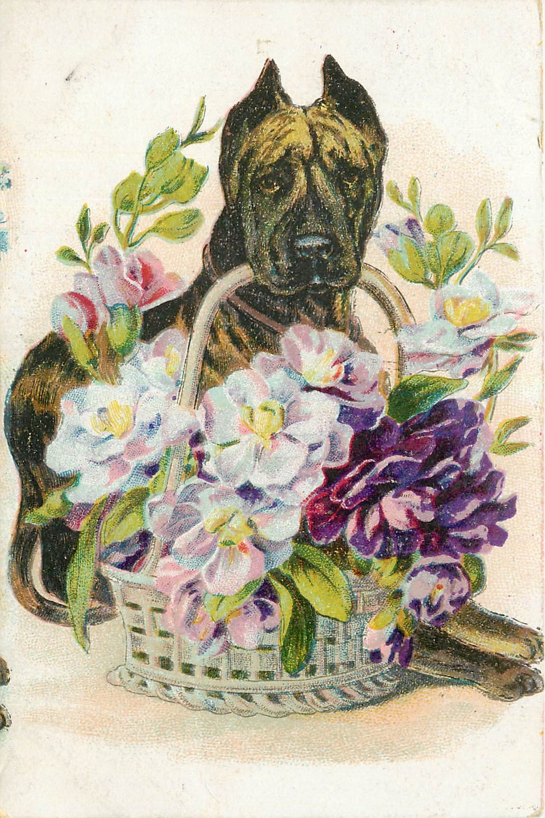 CPA Fleurs Chien