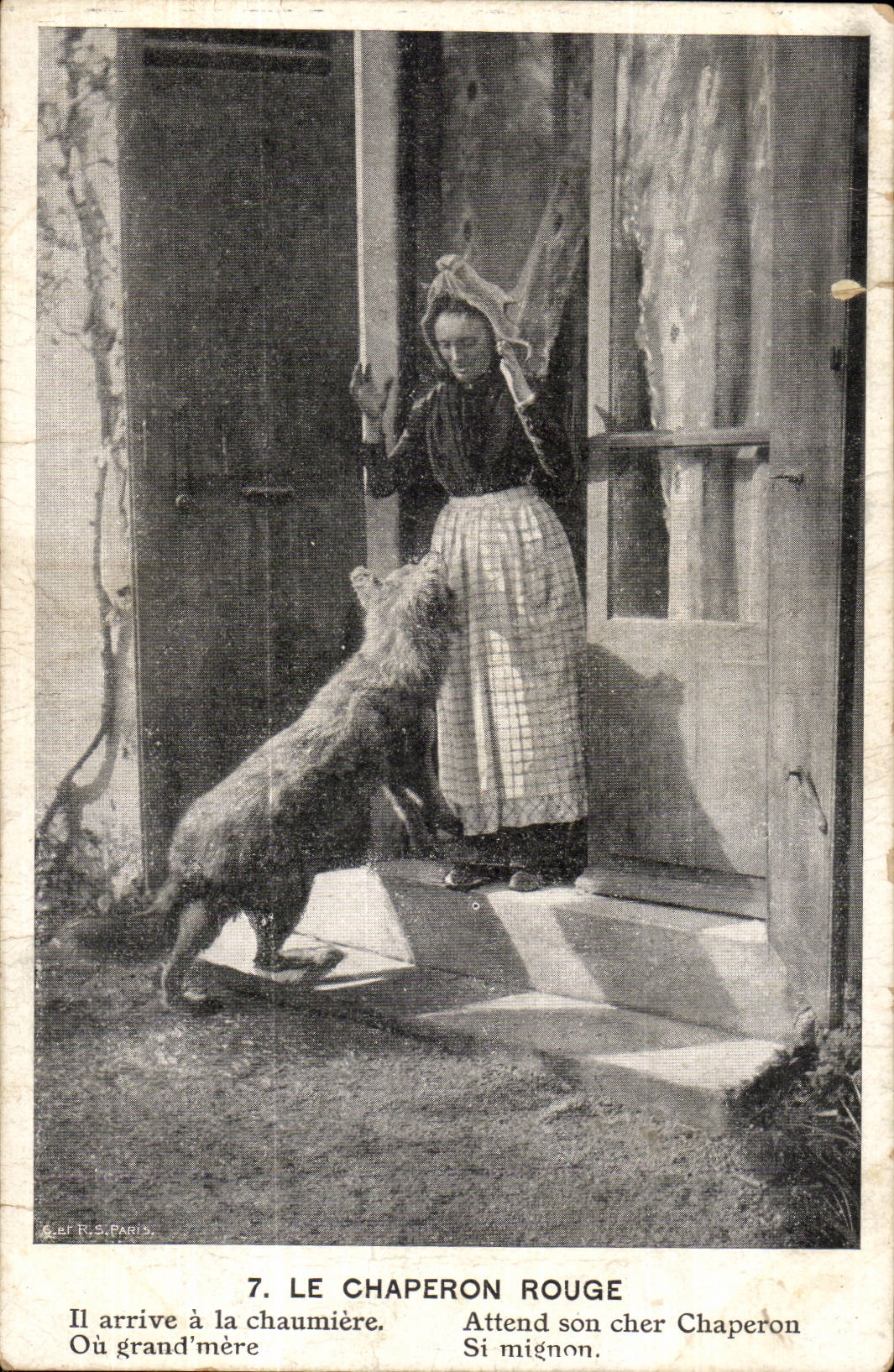 CPA Fantasy Child the red hood Wolf lupus