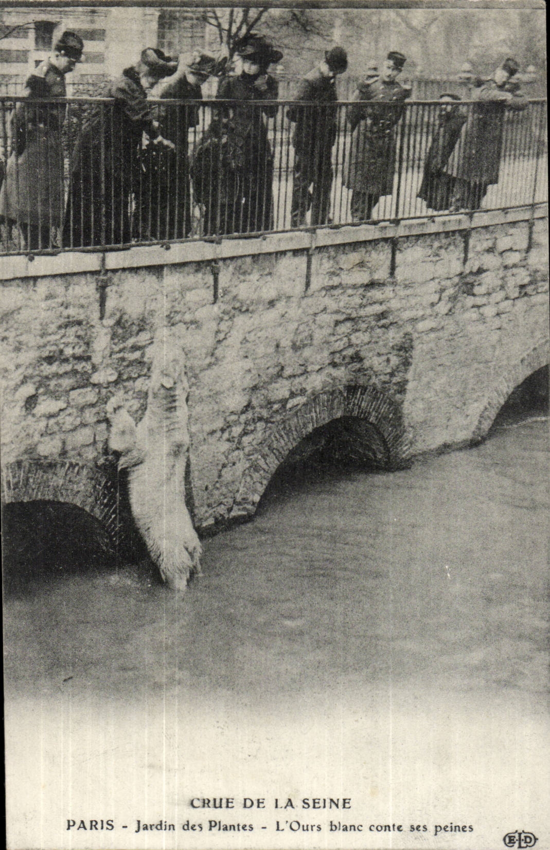CPA Crue of the Seine Botanical garden the polar bear tells its Bear sorrows