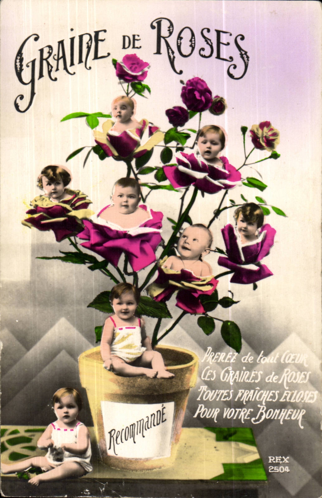 CPA Fantasy seeds of pinks (children)