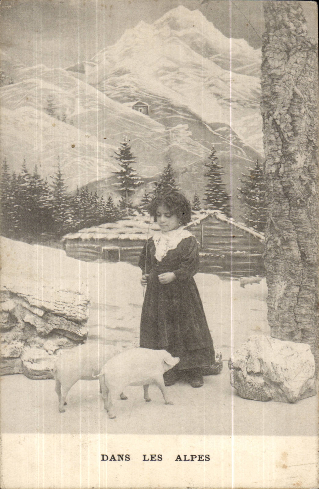 CPA Fantasy Child Pigs Pigs