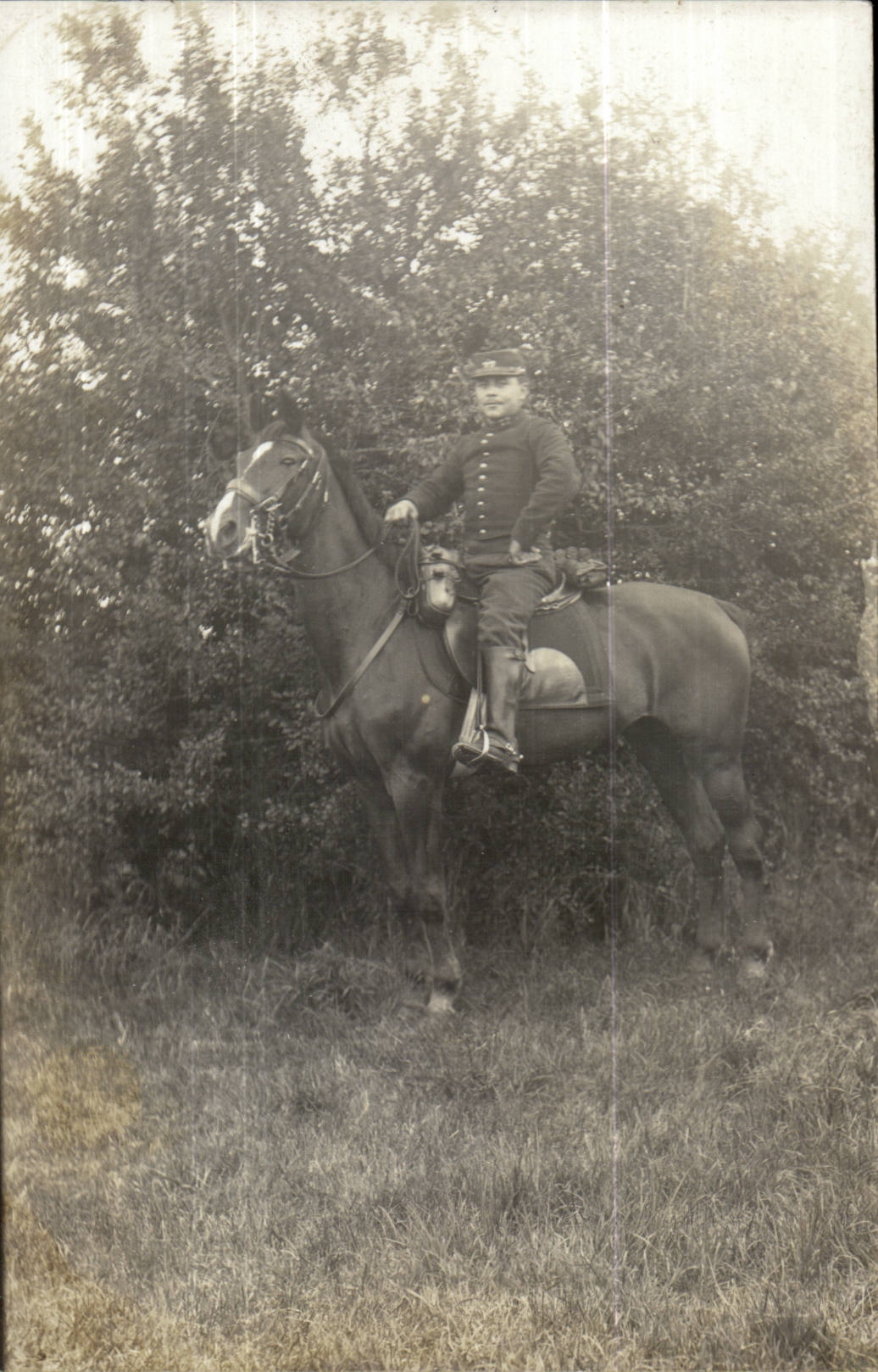 CPA Cheval Militaria Militaire