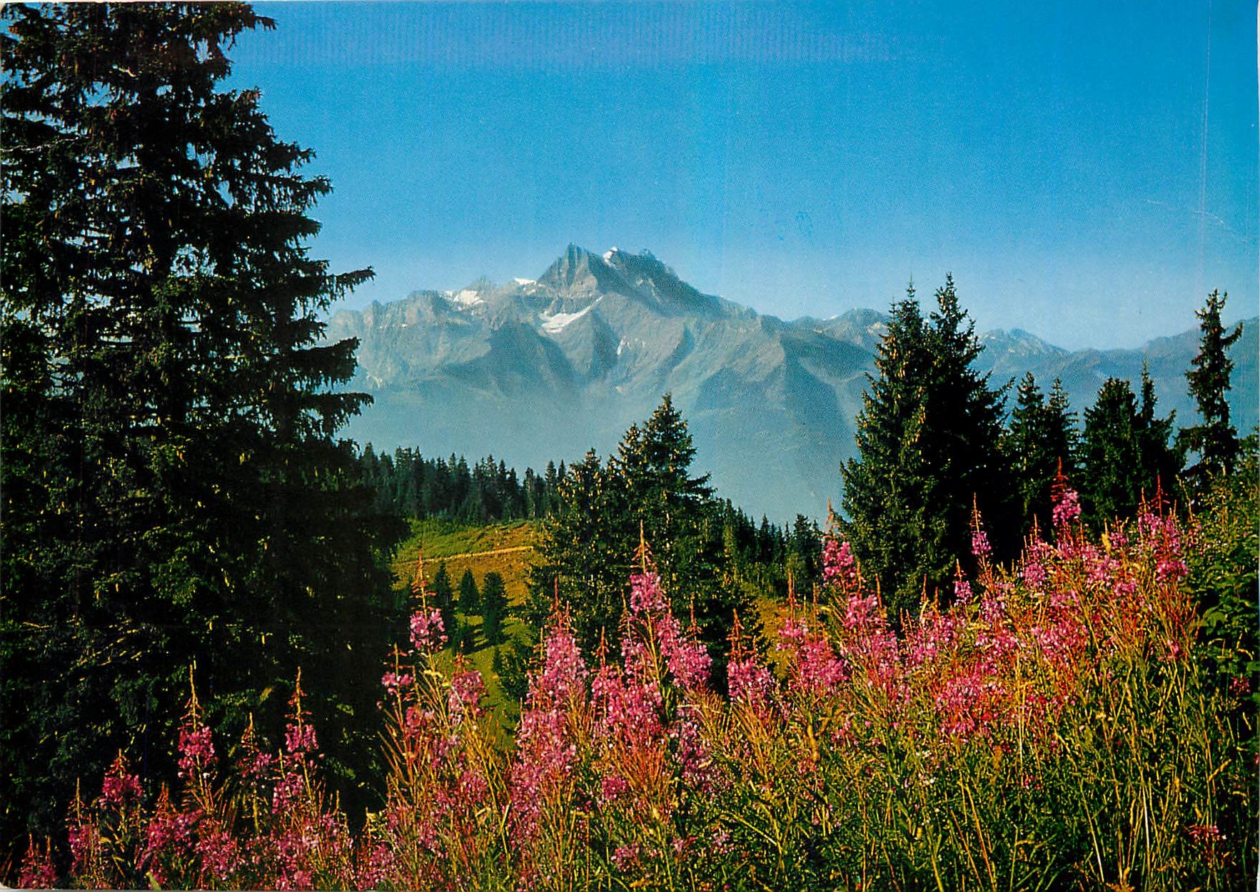 CPM Villars s/Ollon Les Dents du Midi