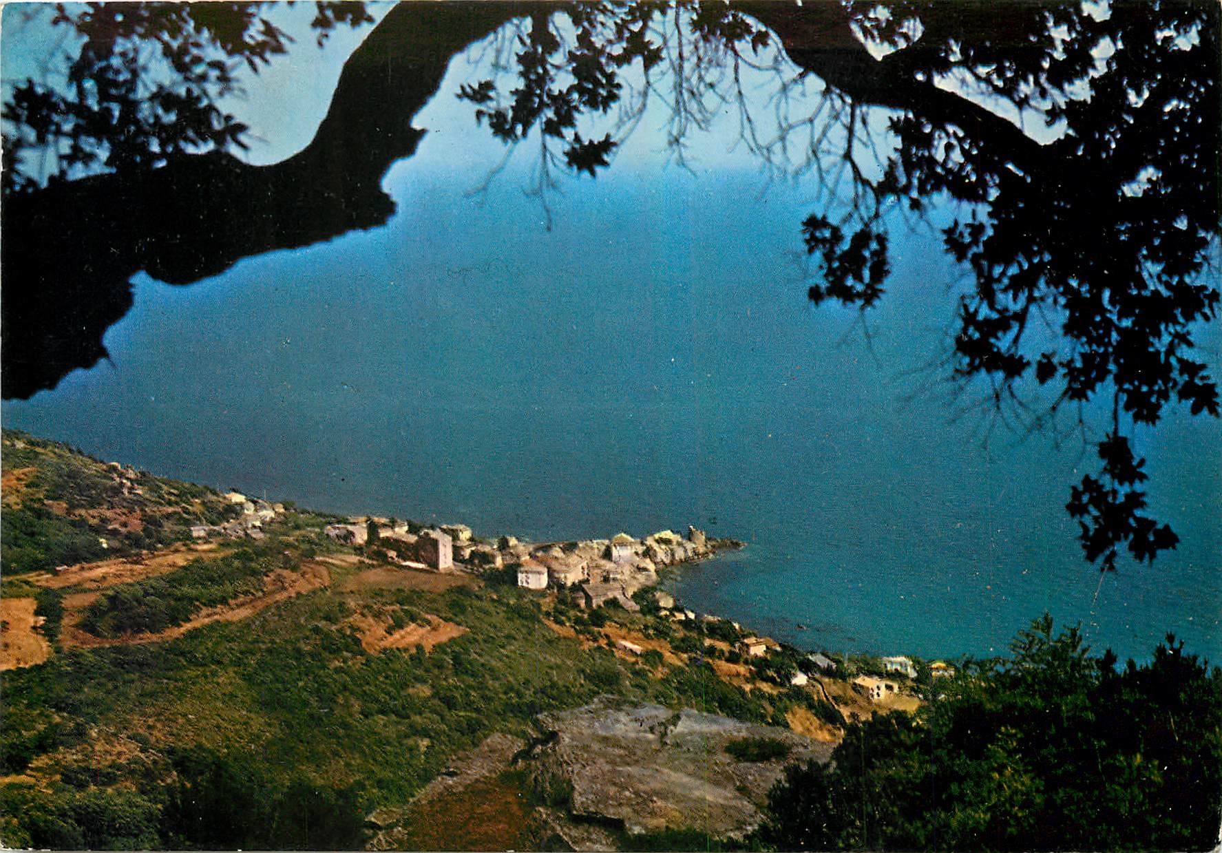 CPM Corse Ile de Beaute Erbalunga Vue generale du Village 