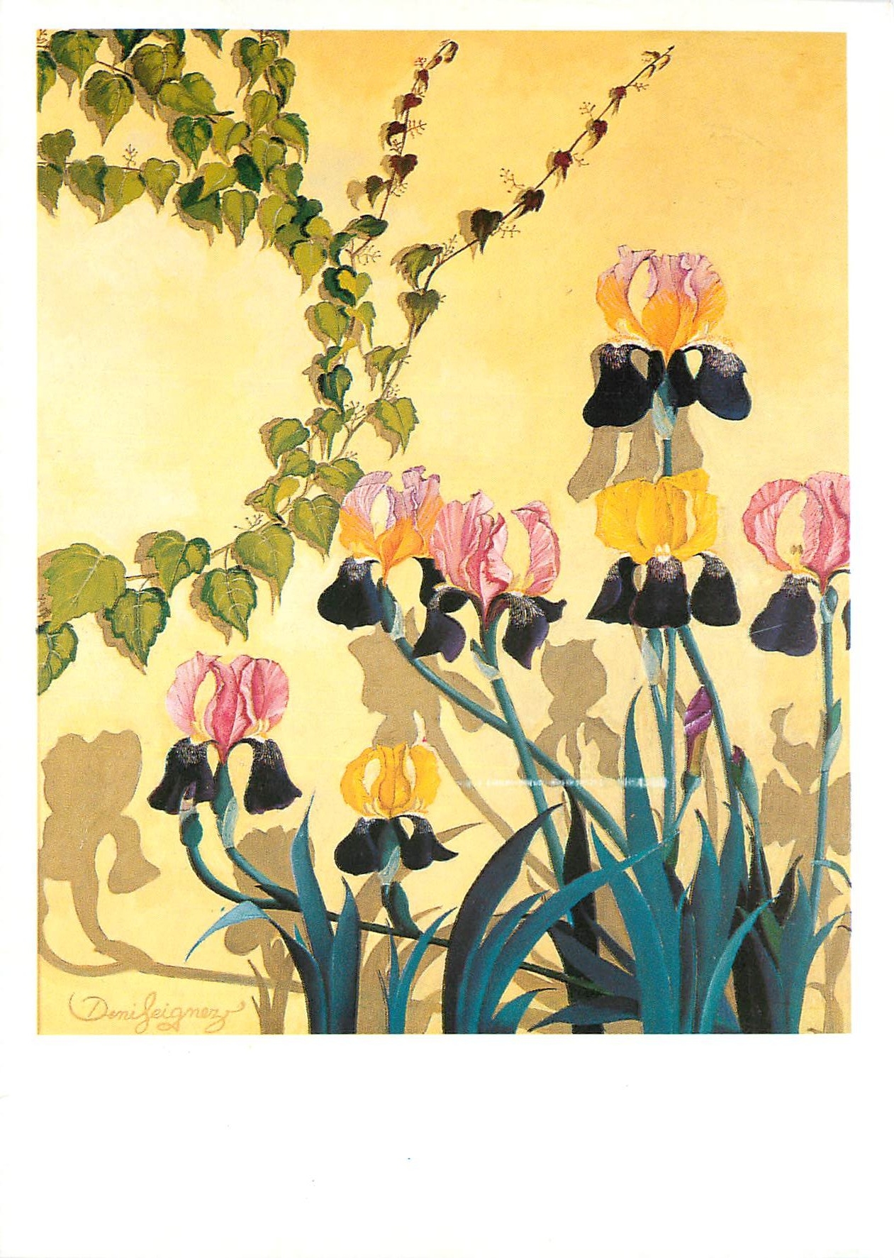 CPM Denis Seignez Iris ensoleilles 