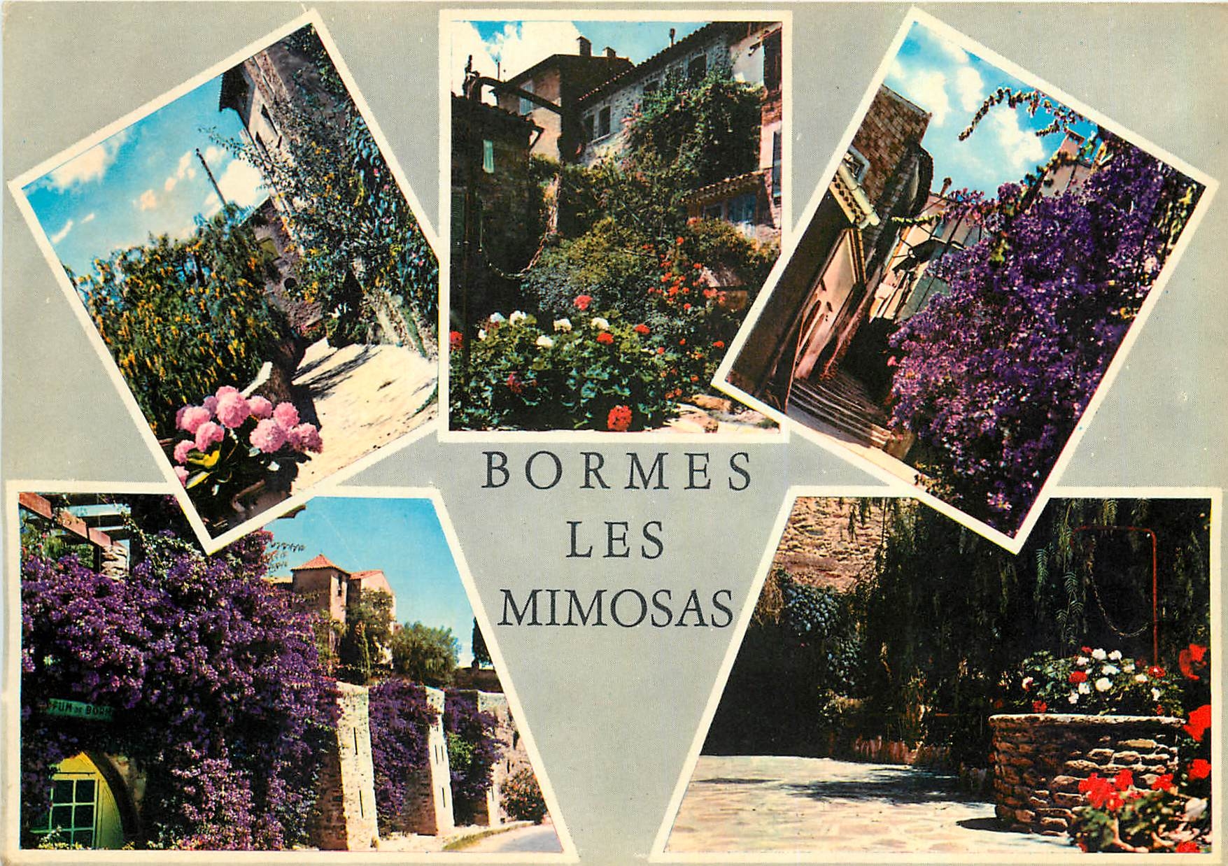 CPM La Cote d'Azur Bormes les Mimosas Var