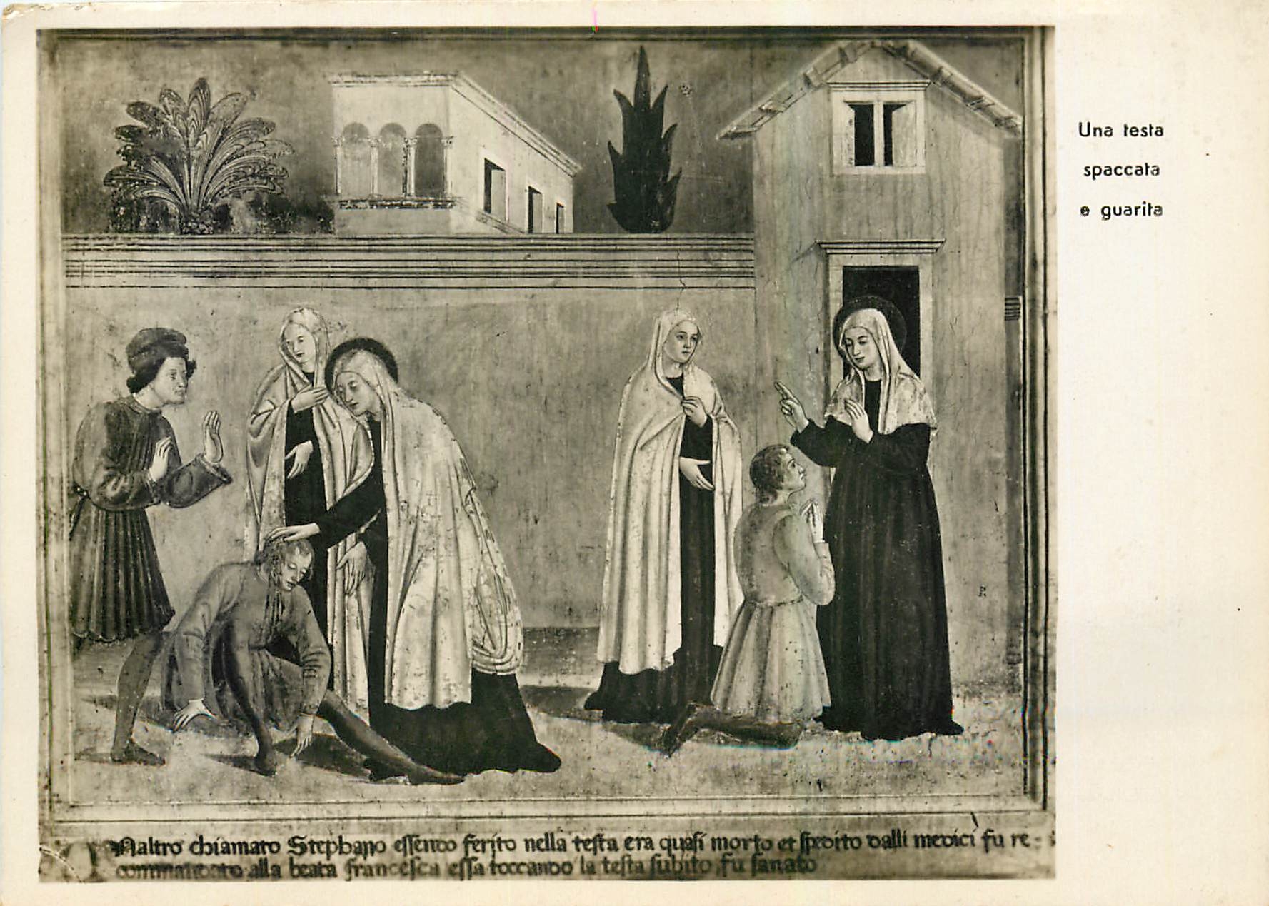 CPM Roma Canetenario di Sainte Francesca Romana 