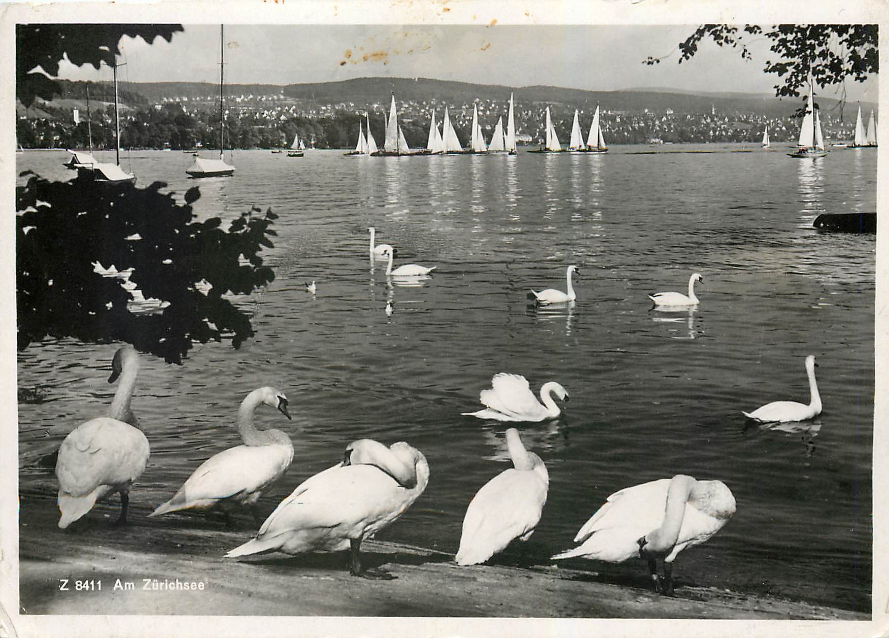 CPM Am Zurichsee