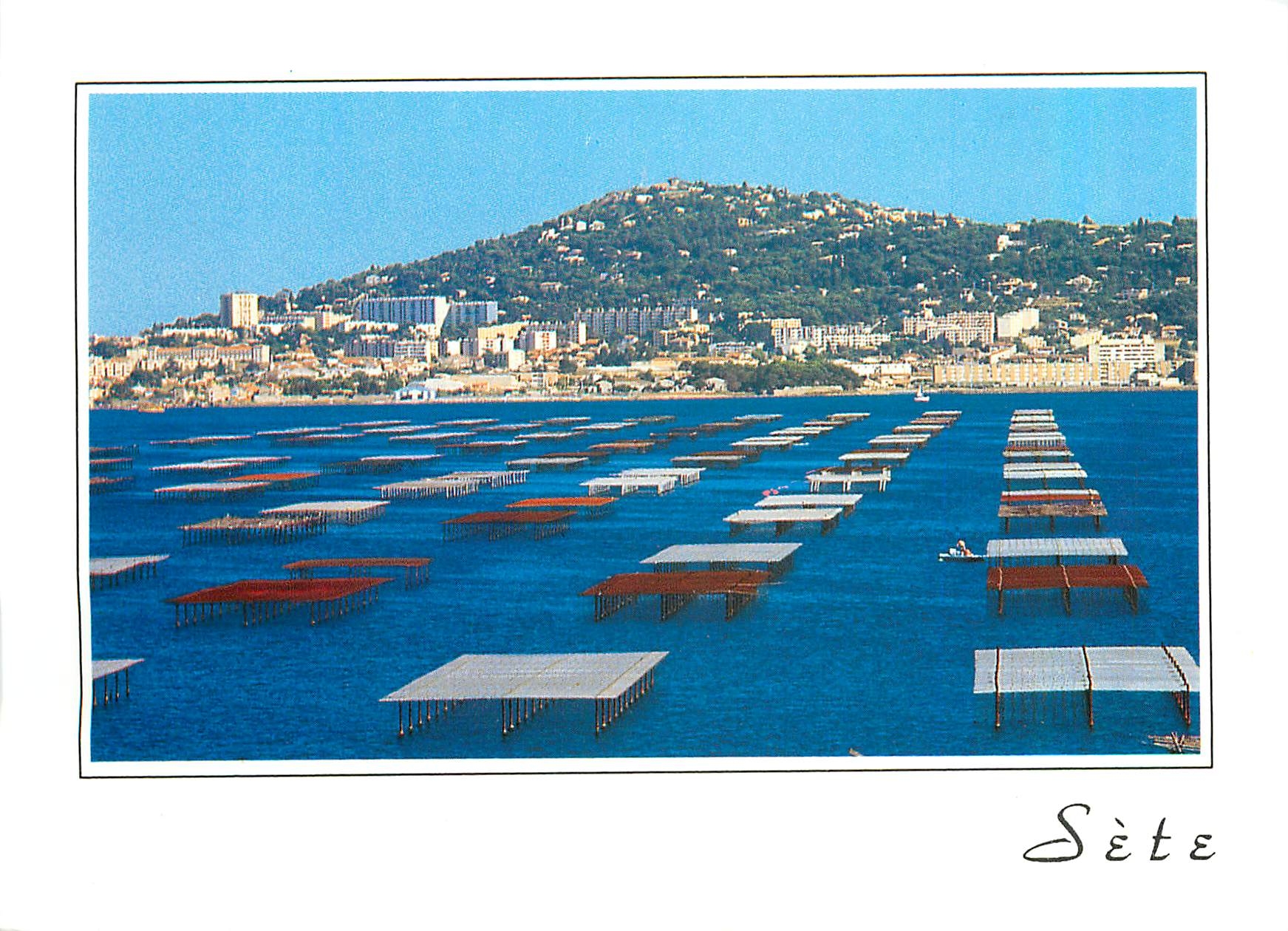 CPM Sete Herault La colline du Mont St Clair et le Bassin de Thau En premier plan les tables uillise