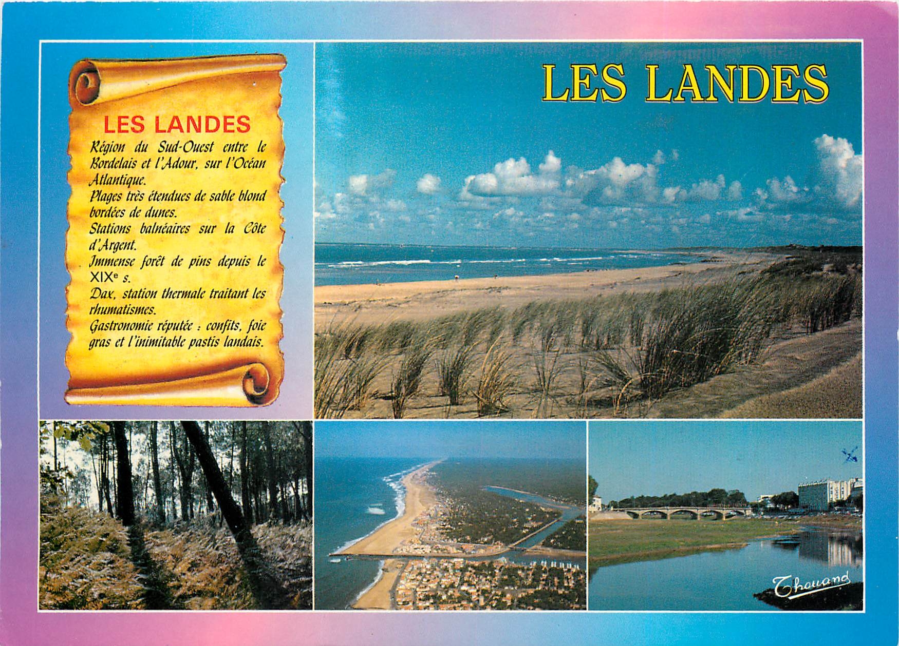 CPM Les Landes Cote Landaise Foret de pins Capbreton Hassegar Dax