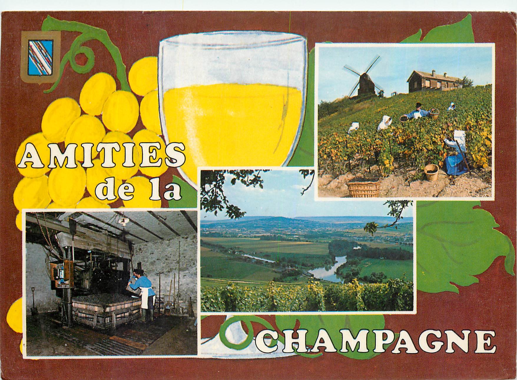 CPM La Champagne France Vendanges Vignobles et Pressoir 