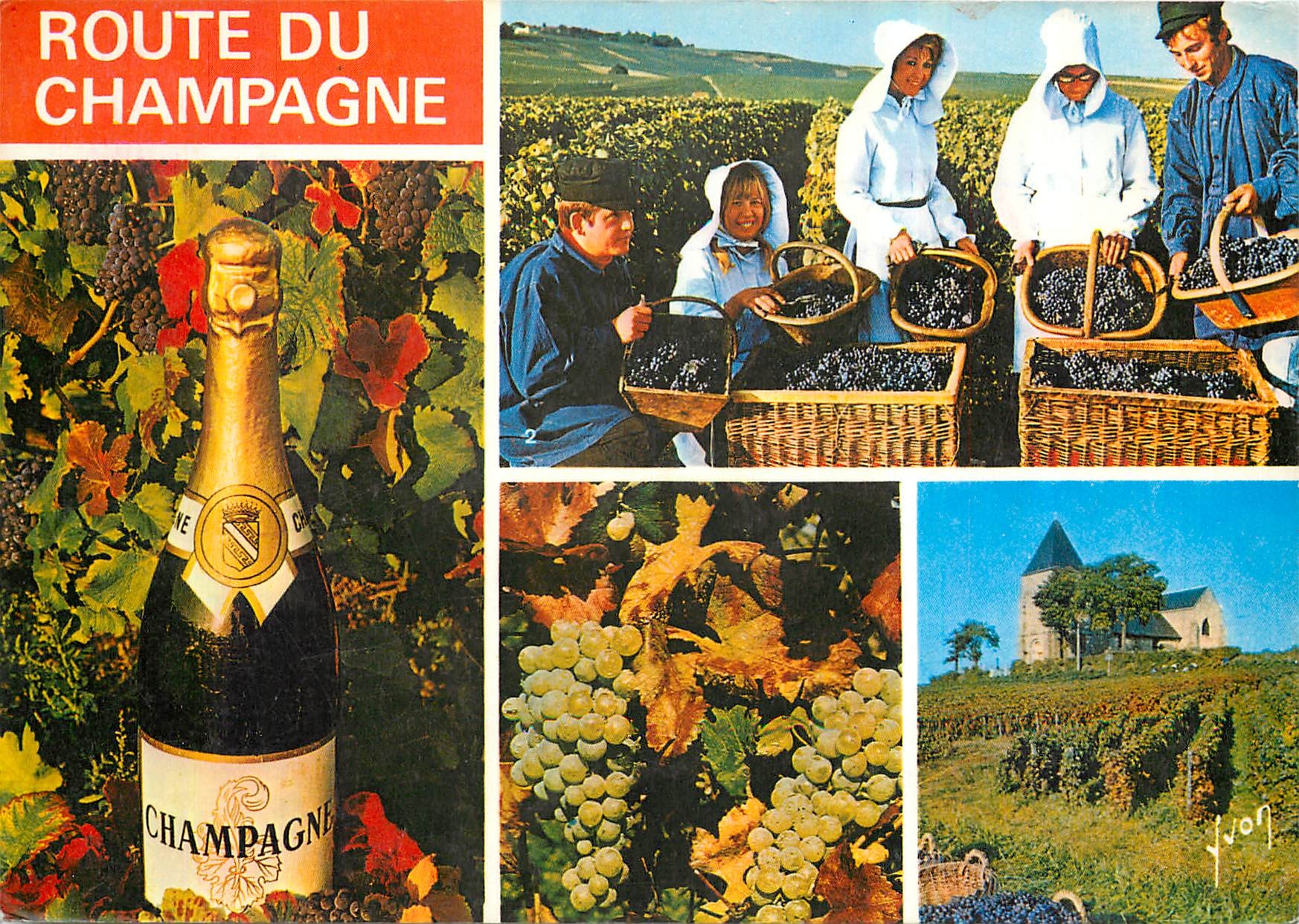 CPM Couleurs et Lumiere de France La Route du Champagne Scenes de Vendagnes en Champagne