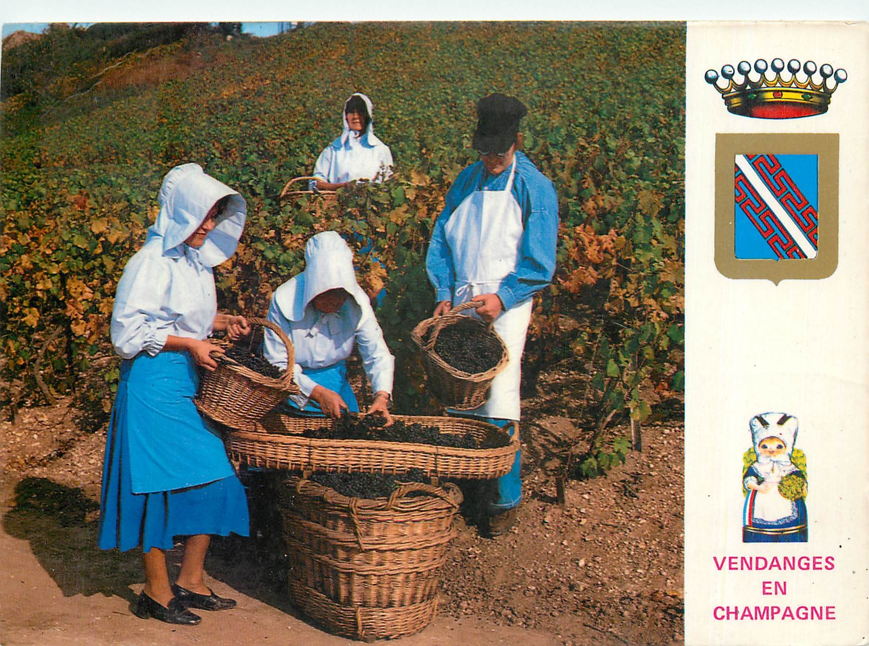 CPM En Champagne France 