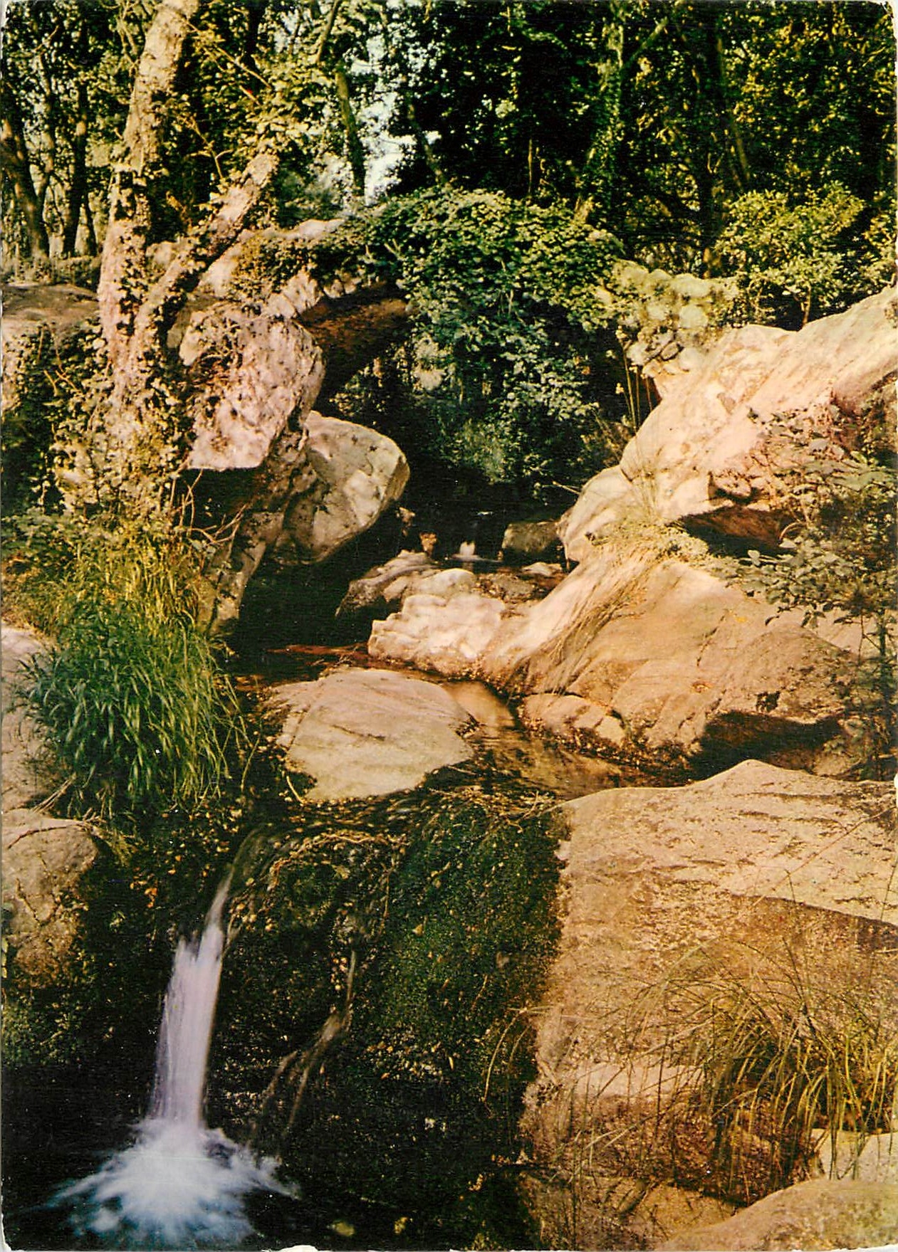 CPM Golfe de St Tropez Var Plan de la Tour Hostellerie de Ponte Romano Le Pont Romain et la Cascade 