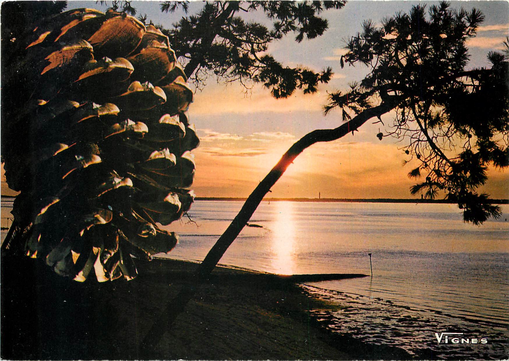 CPM Visage des Landes Coucher de soleil
