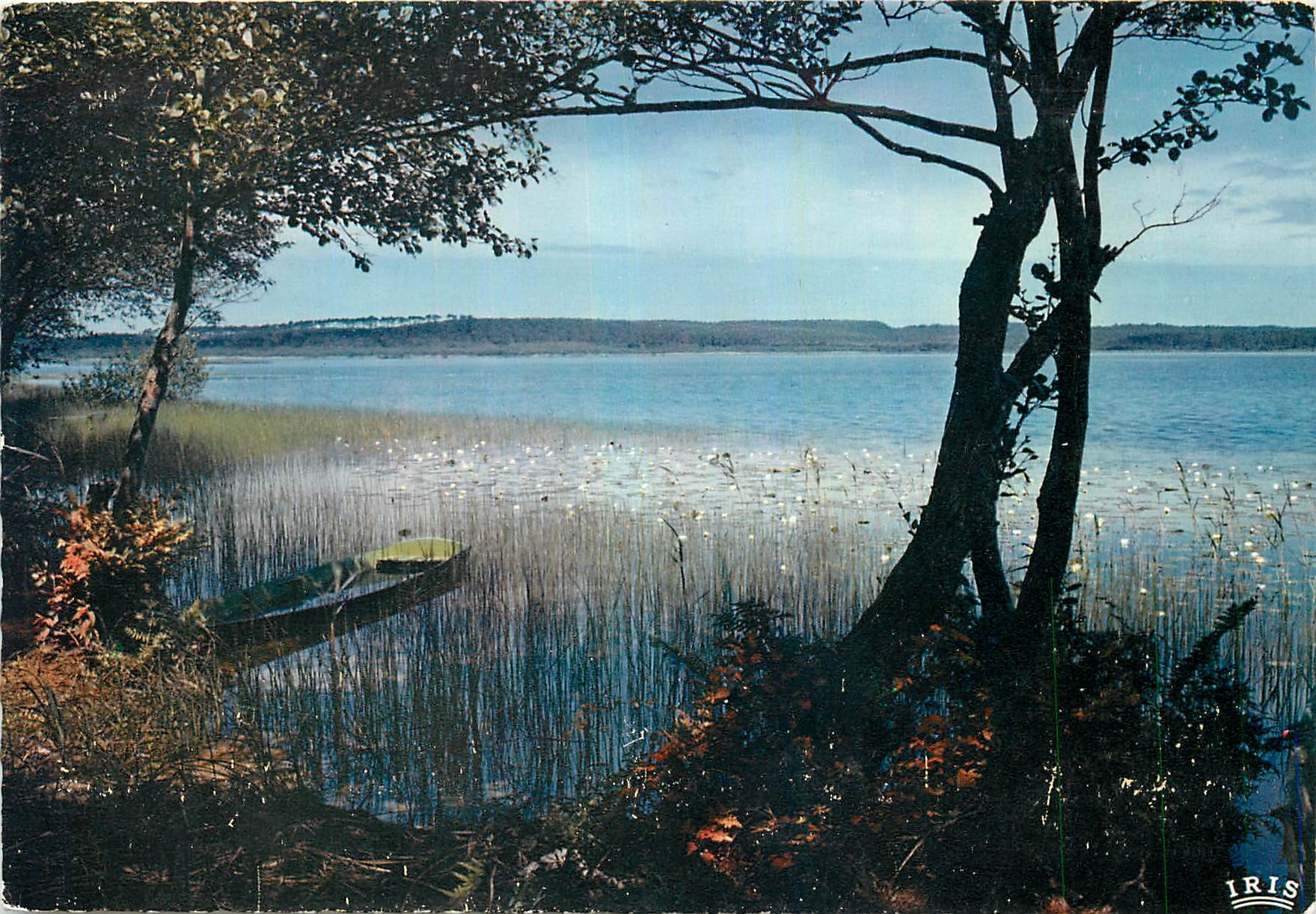 CPM Etang dans la Lande 