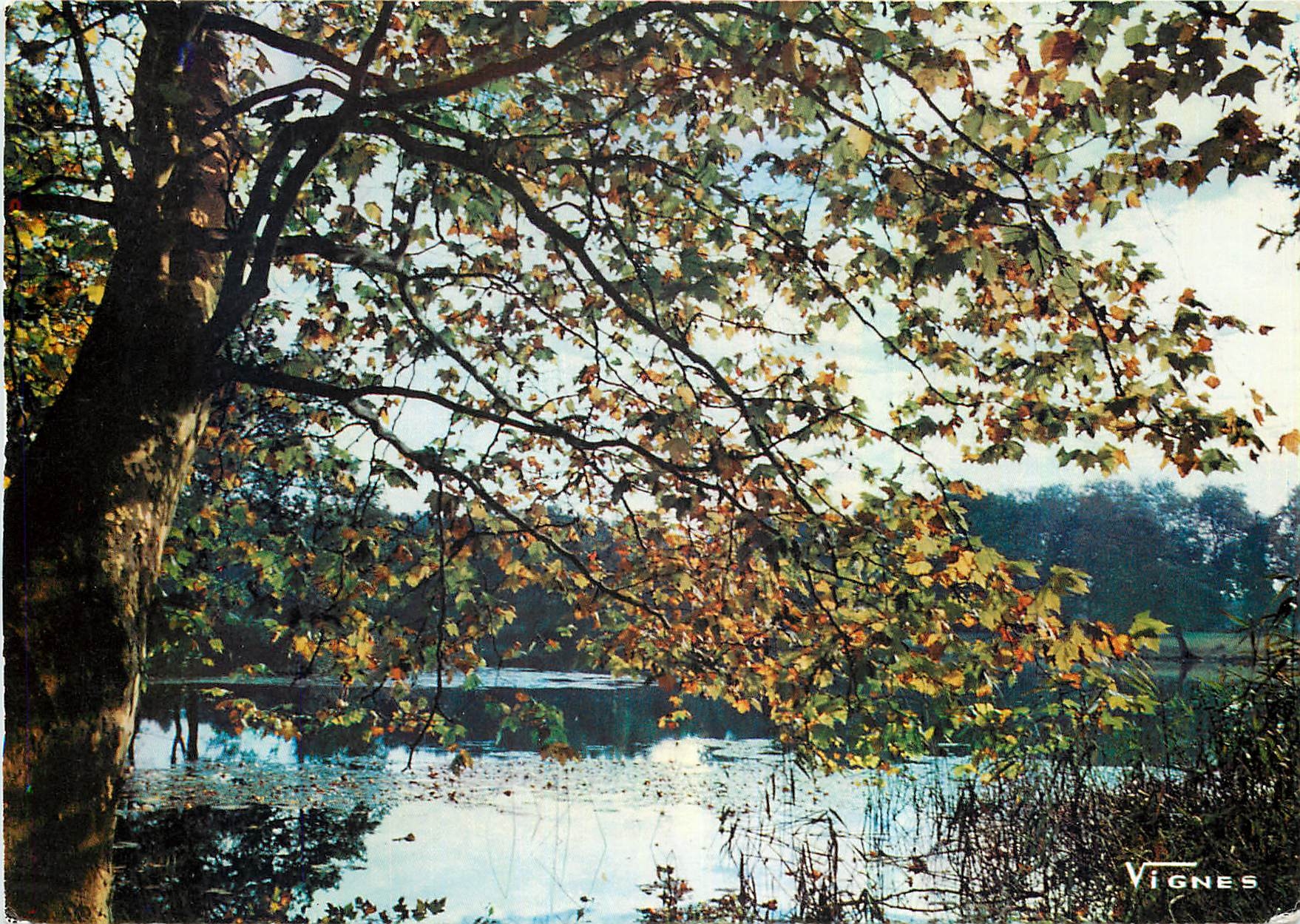 CPM Visage des Landes Paysage automnal a l'etang d'Uza 