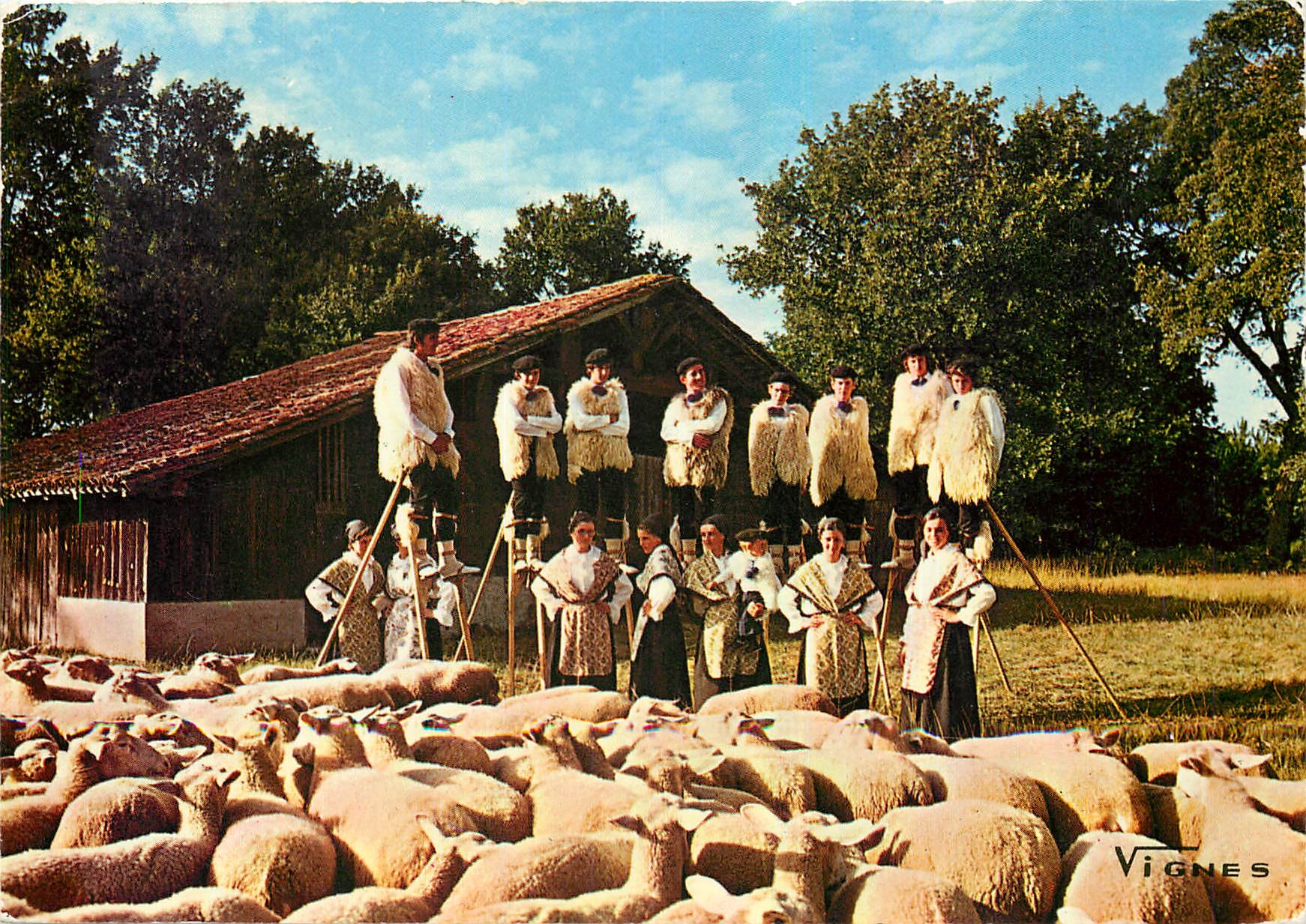 CPM Visage des Landes Groupe Folklorique Lous Pastous Seignossais