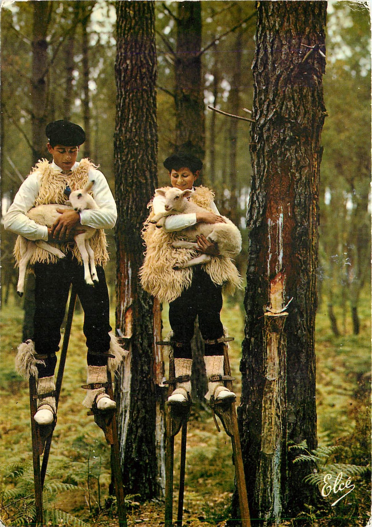 CPM La Lande Groupe Landais Lous Cadetouns Dans la Foret Landaise les celebres Echassiers avec leurs