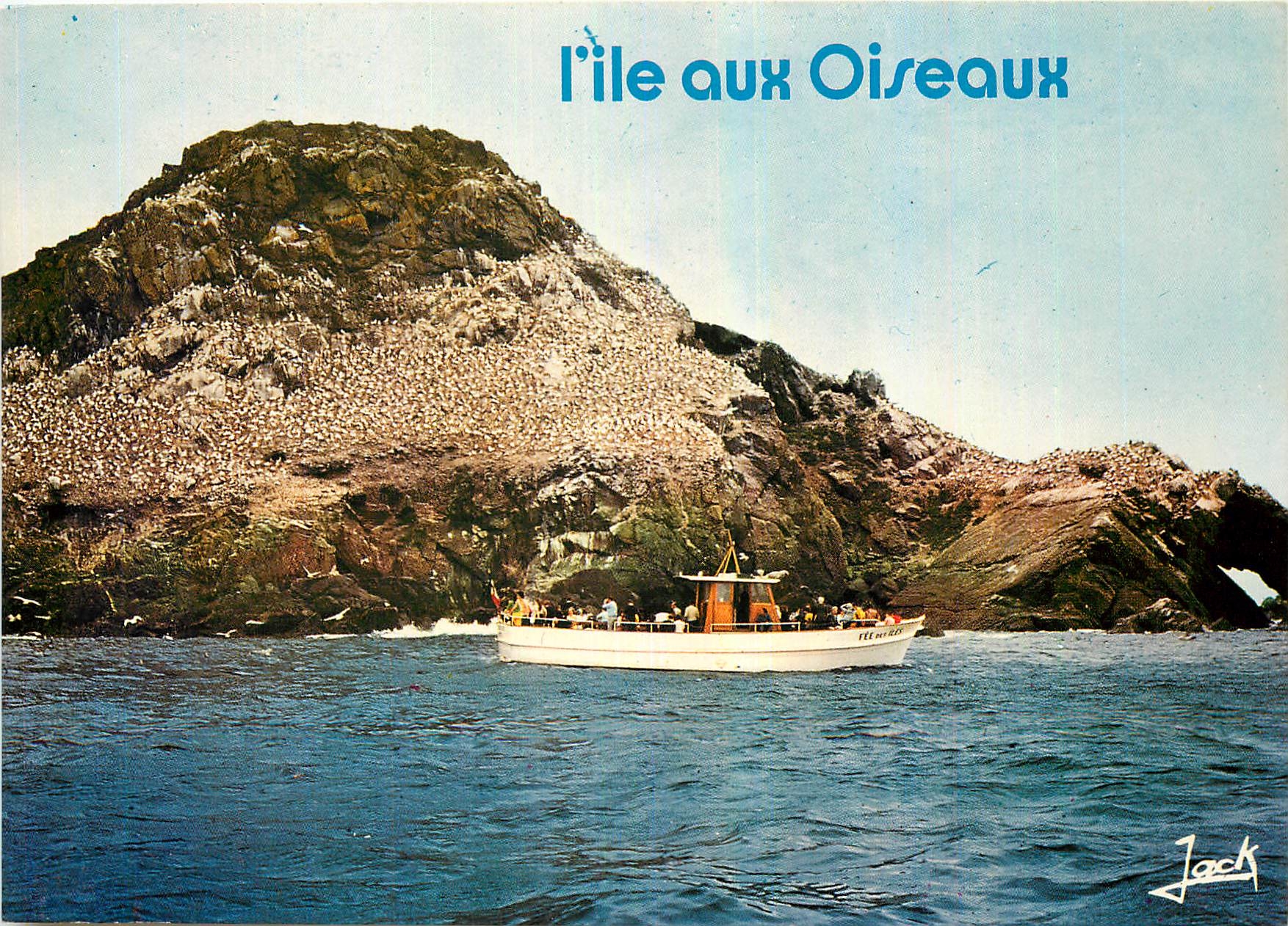 CPM Couleurs de Bretagne La Cote de Granit Rose Vedette en visite a l'ile Rouzic ou nichent des mill
