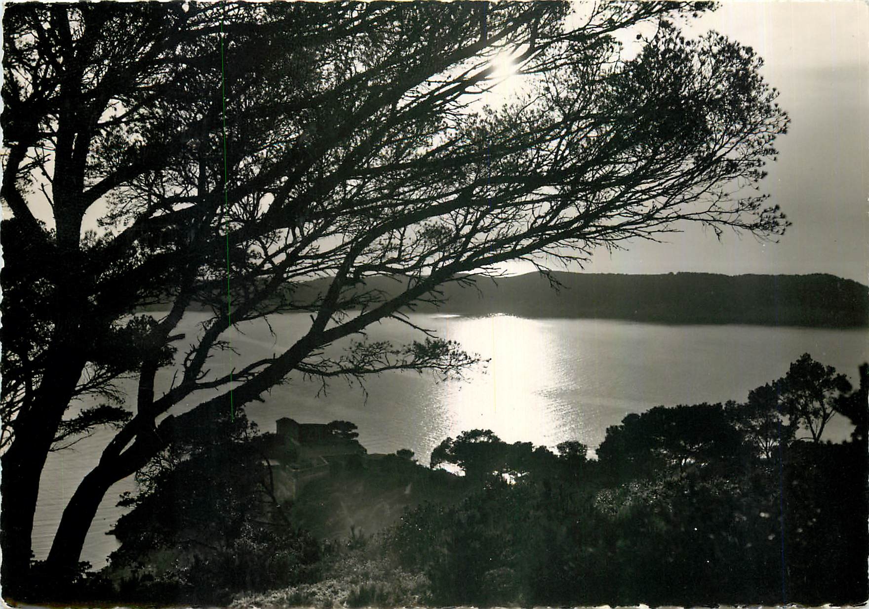 CPM Ile de Port Cros Var Coucher de Soleil