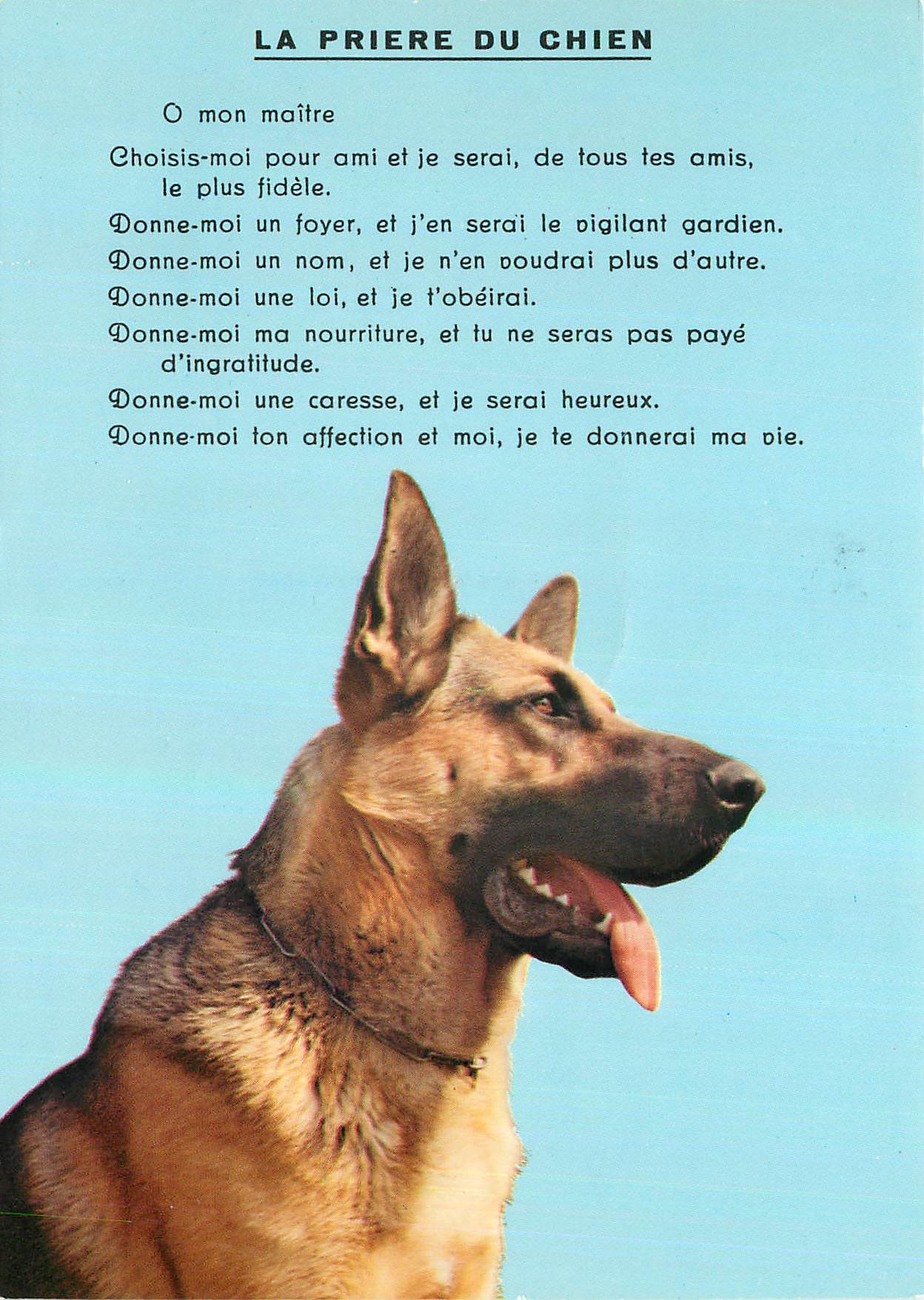 CPM La Priere du Chien 