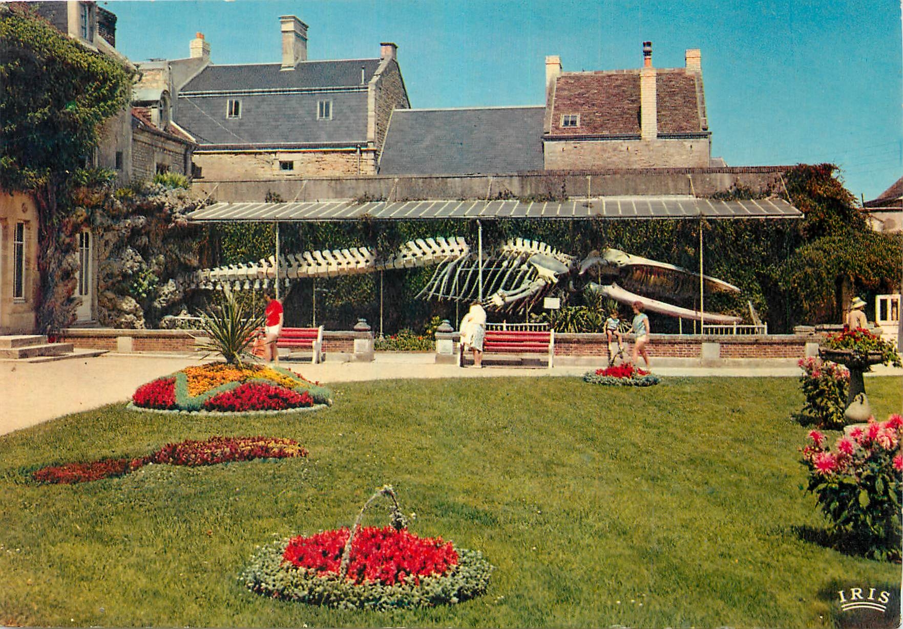 CPM Luc sur Mer La Baleine du Jardin public