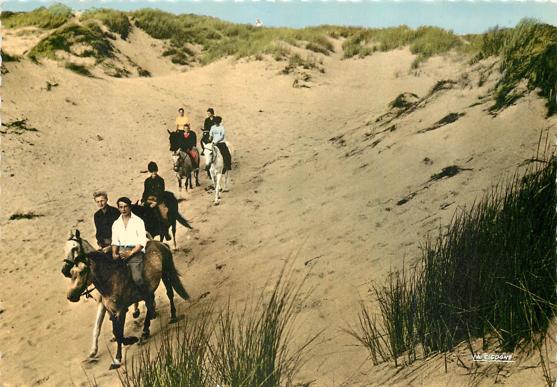 CPM A Cheval Dans les Dunes 