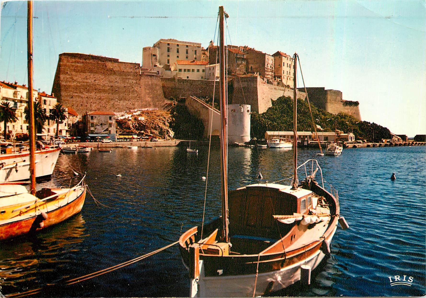 CPM Charmes et Couleurs de la Corse Calvi les Yachts devant la citadelle