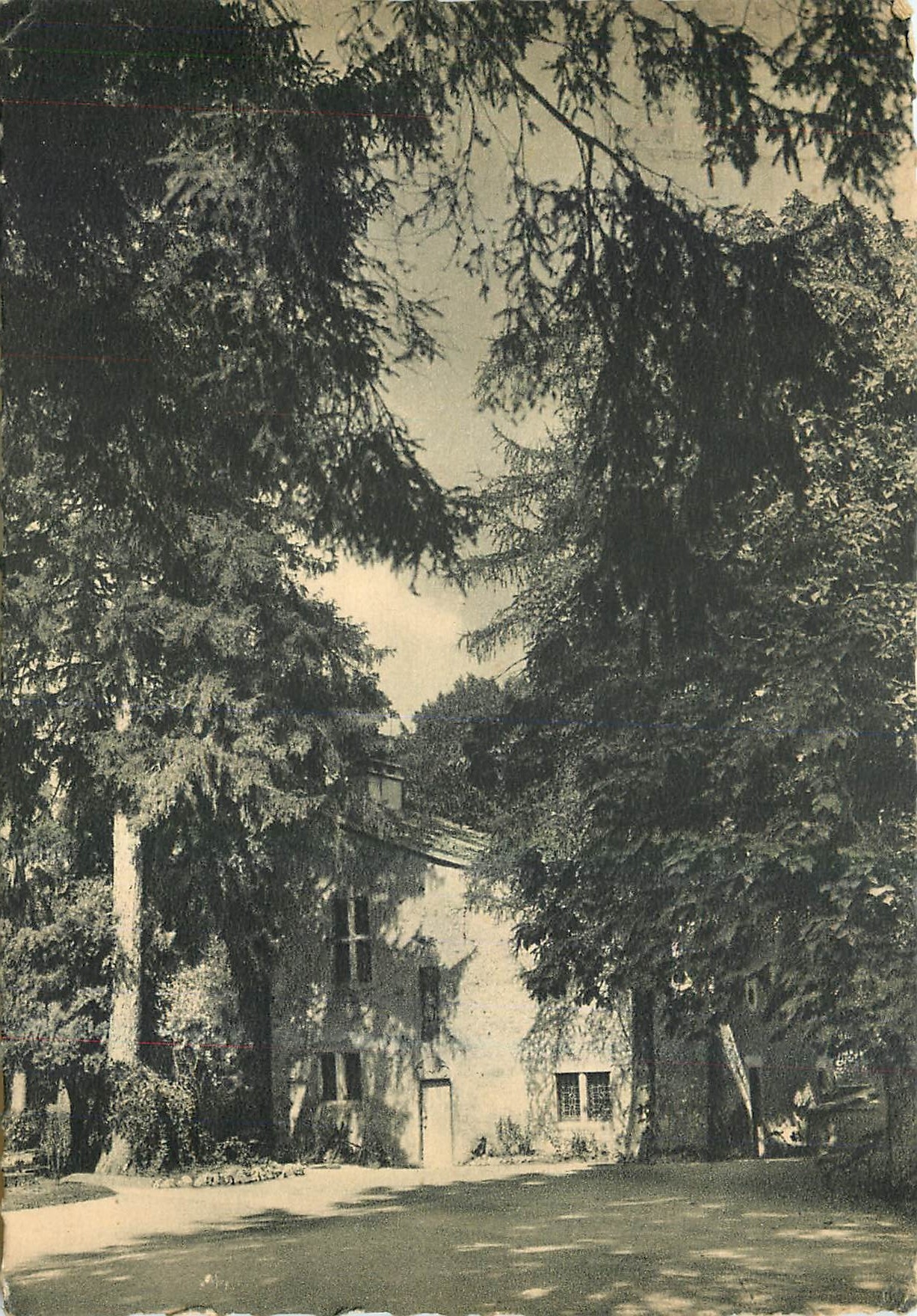 CPM Domremy la Pucelle Maison des Sainte Jeanne d'Arc 