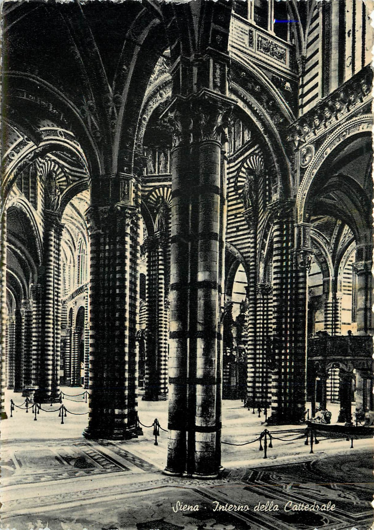 CPM Siena Interno della Cattedrale 