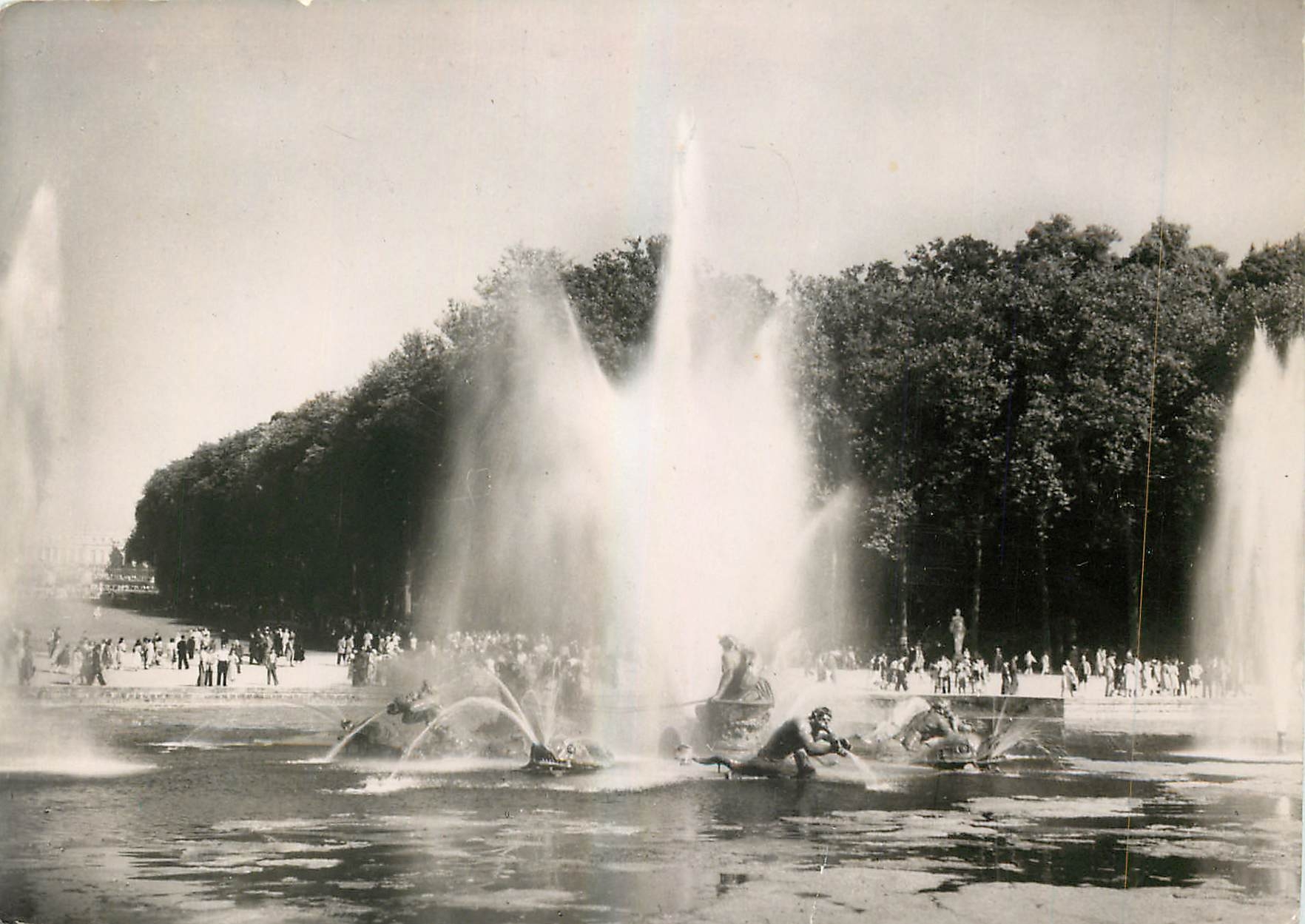 CPM Versailles Parc du Chateau Le Bassin d'Apollon