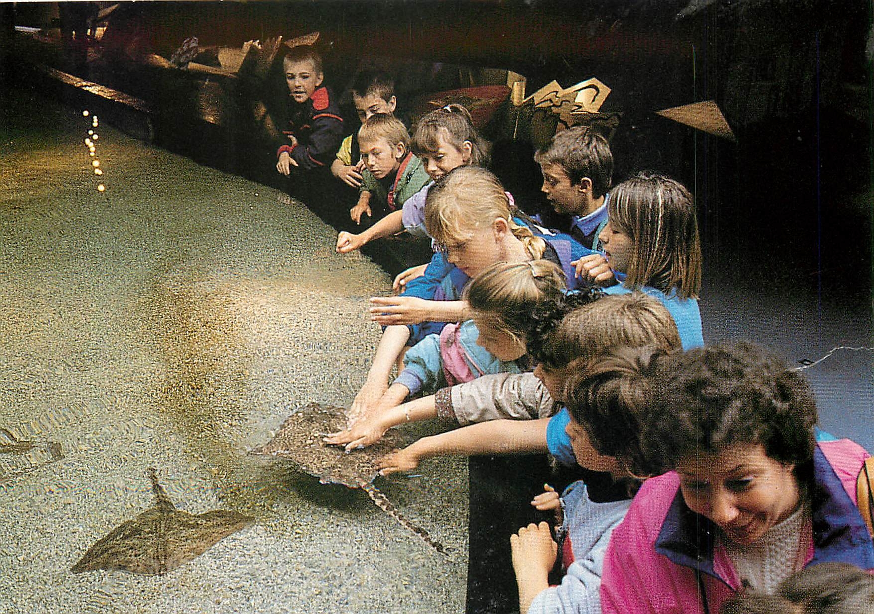 CPM Bassin Tactile et raies Bouclees Enfants