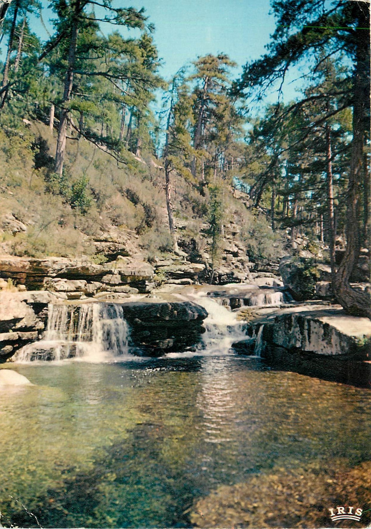 CPM Charmes et couleurs de la Corse Evisa La Piscine Sindoght (835 m d'alt)