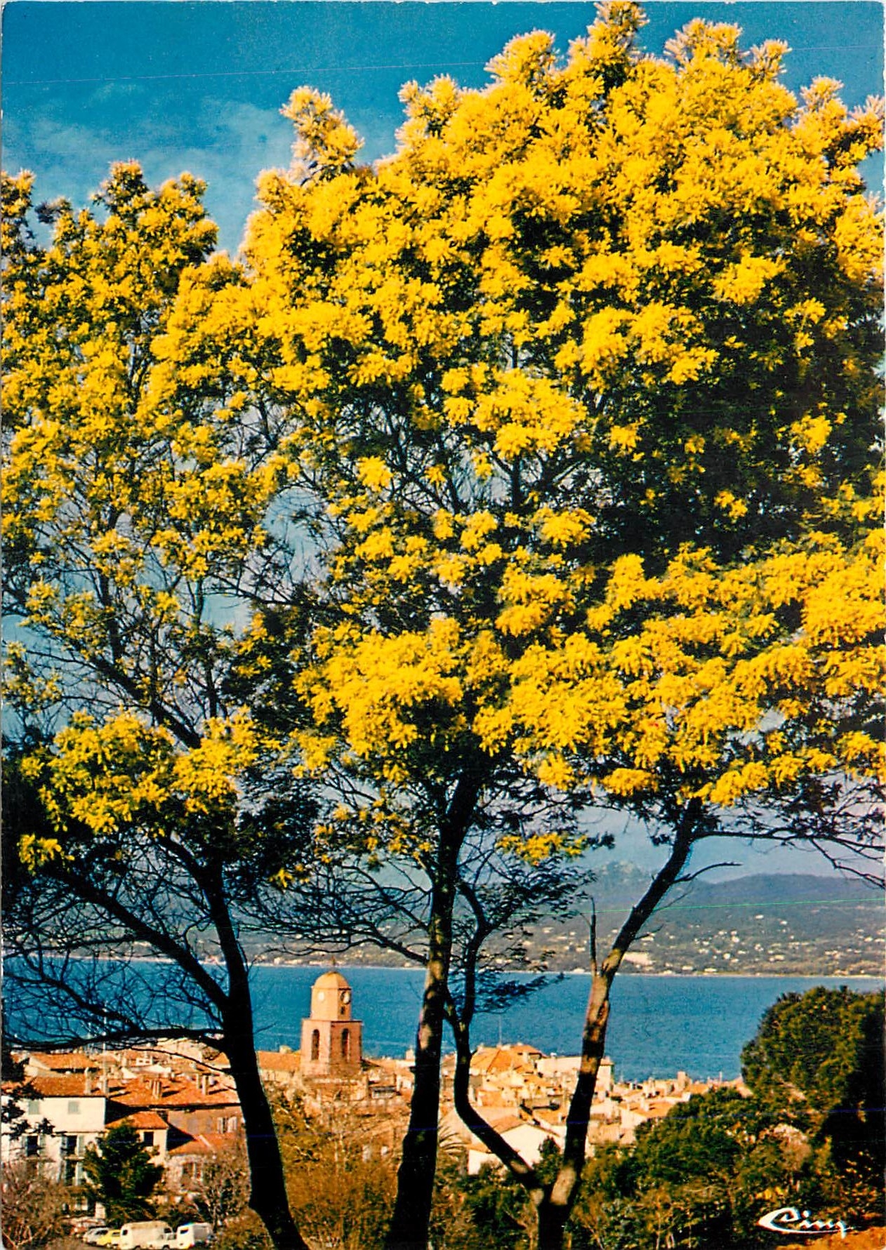 CPM Saint Tropez (Var) Le Clocher et le golfe de St Tropez