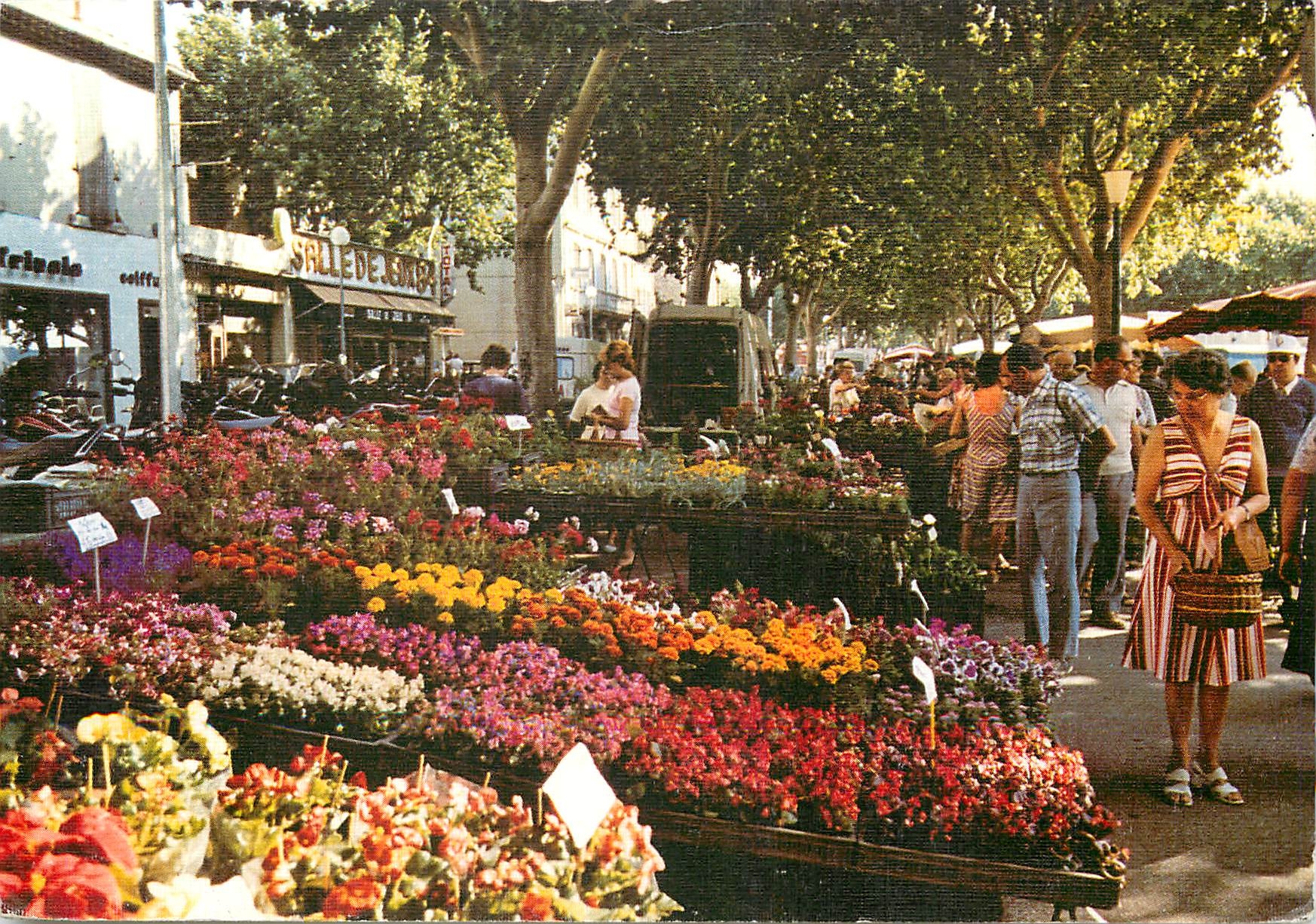 CPM Le Comtat Venaissin Carpentras (Vaucluse) Le Marche aux Fleurs