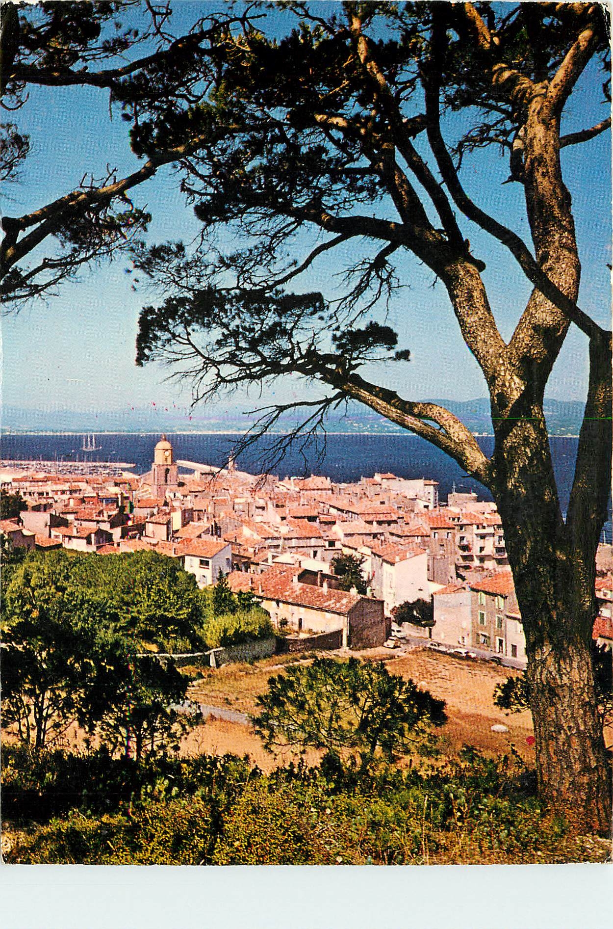 CPM Saint Tropez (Var) vue generale