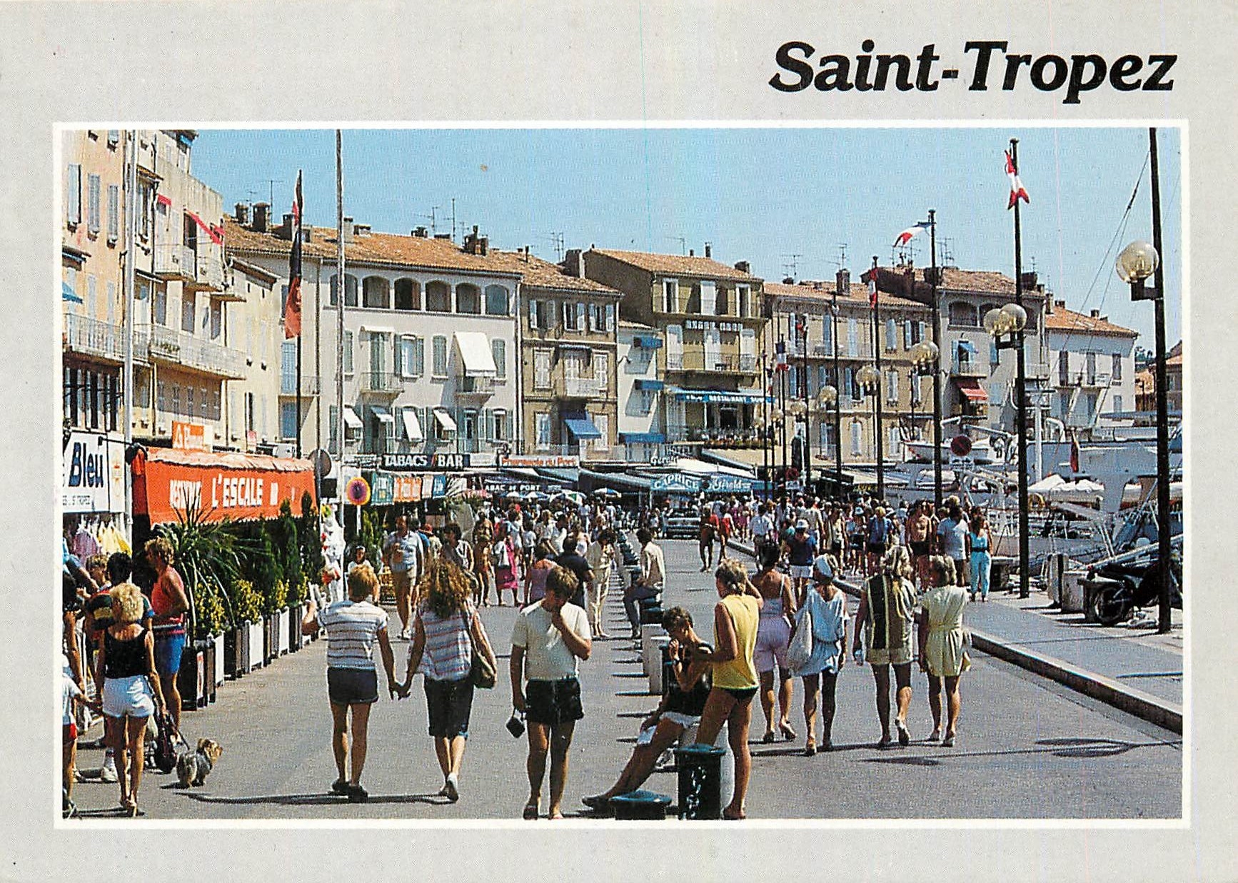 CPM Saint Tropez (Var) les quais