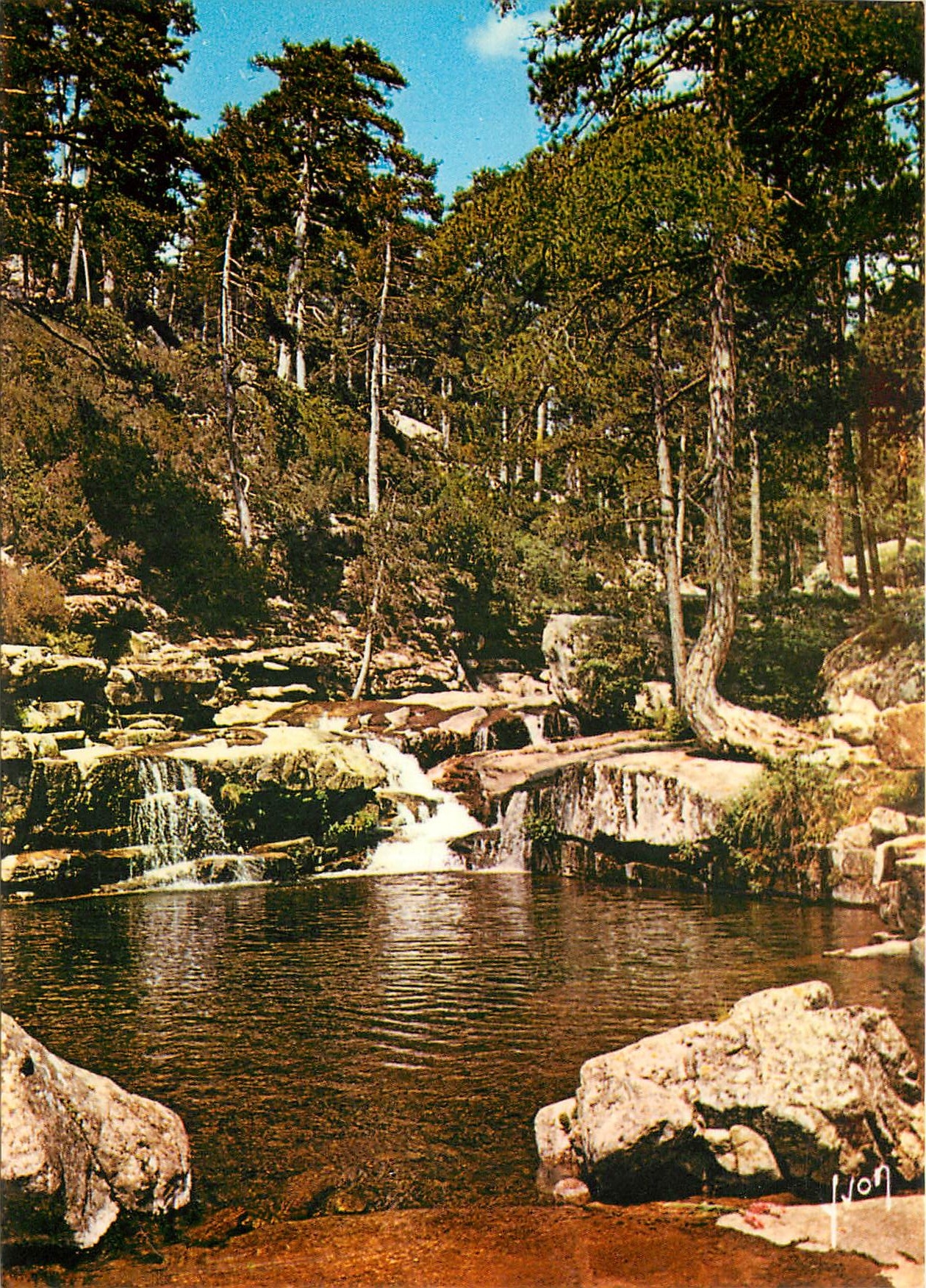 CPM Couleurs et Lumilere de France La Corse Oasis de Beaute Evisa (Corse)