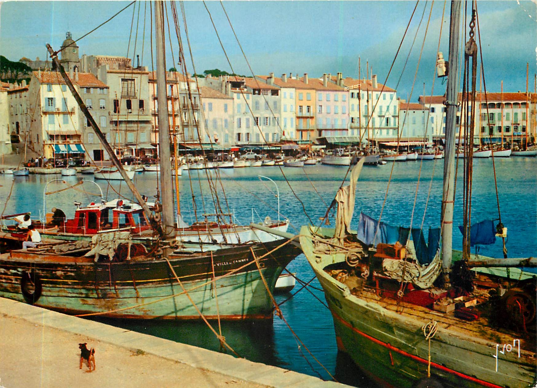 CPM Couleurs et Lumliere de France La Cote d'Azu Miracle de la nature Saint Tropez (Var) Les Quais B