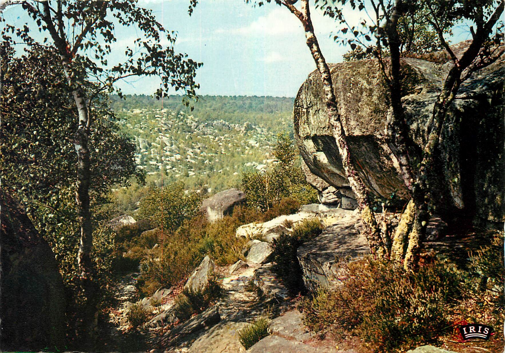 CPM En Foret de Fontainebleau (Seine et Marne) aux gorges Franchard La Roche de Jean Goujon