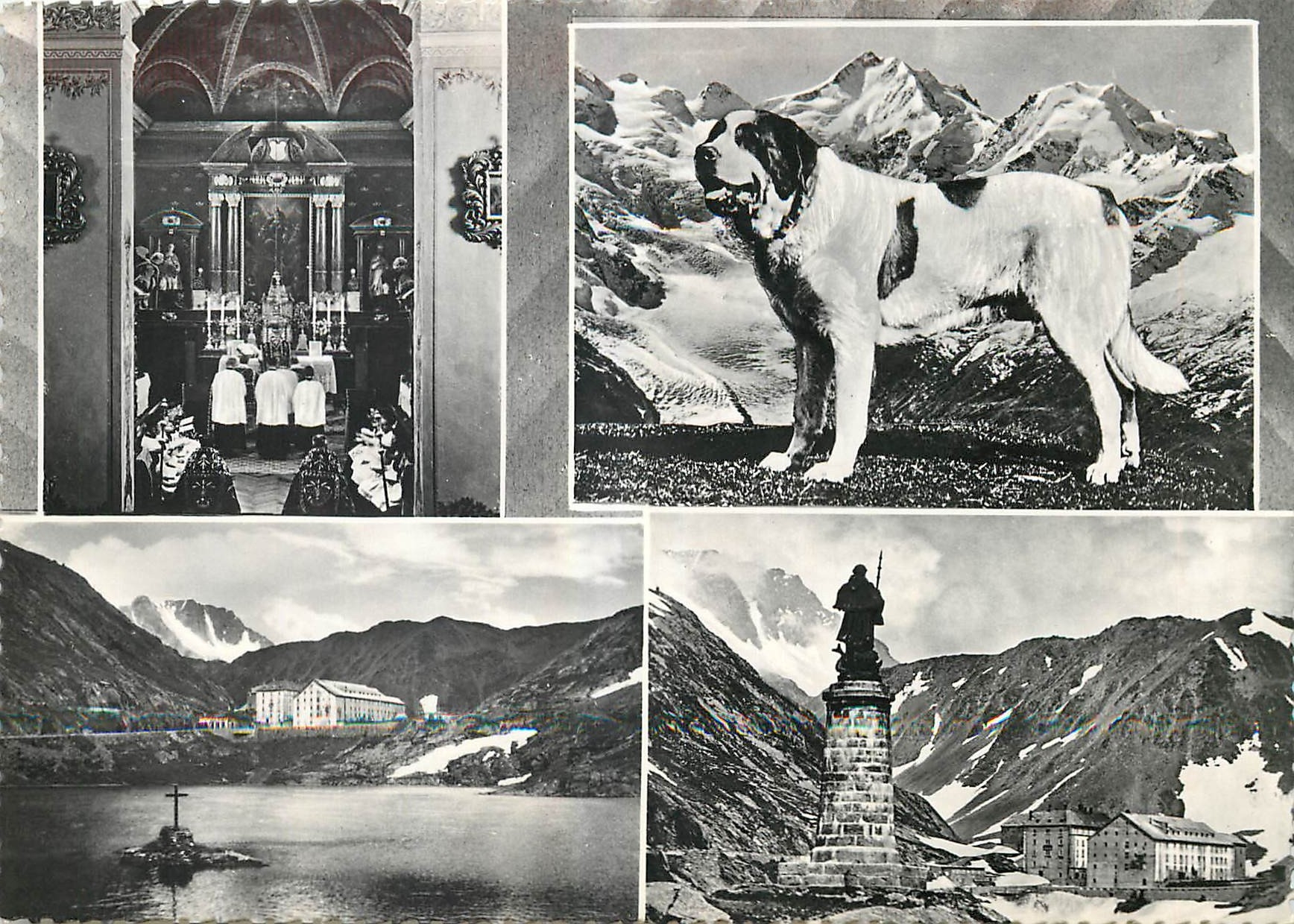 CPM Un Rocirdo sal Gran S Bernardo Chien St Bernard