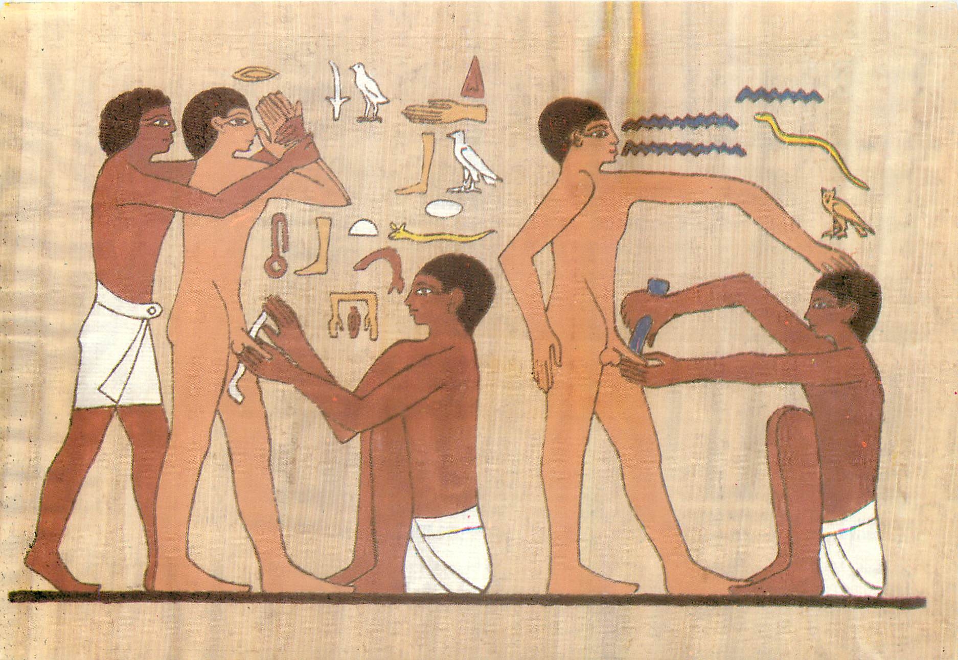 CPM Scene of Circumscision from the tomb of Ankh 6th dyn
