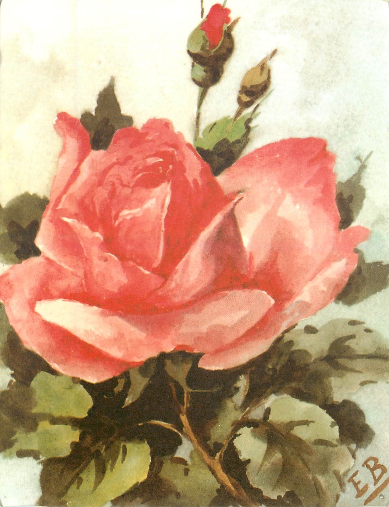 CPM Oeuvres promues par sa fille Juliette Chich Mantout en 1987