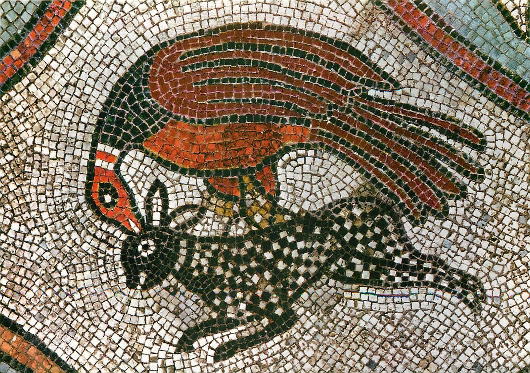 CPM Venezia Basilica di S Marco l'interieur Pavement a mossaique (XIIs)