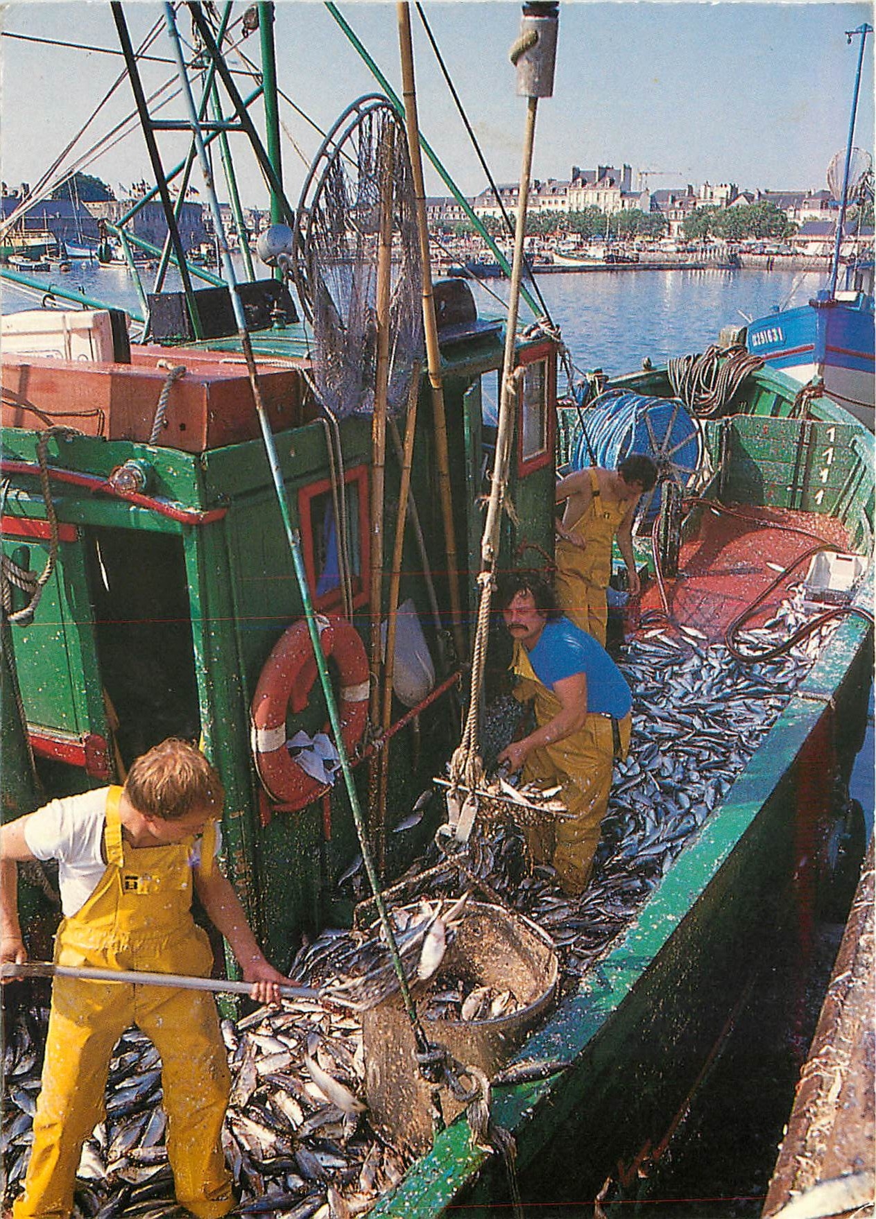 CPM La Bretagne en couleurs Concarneau (Finistere)retour de peche des sardiniers Bateau