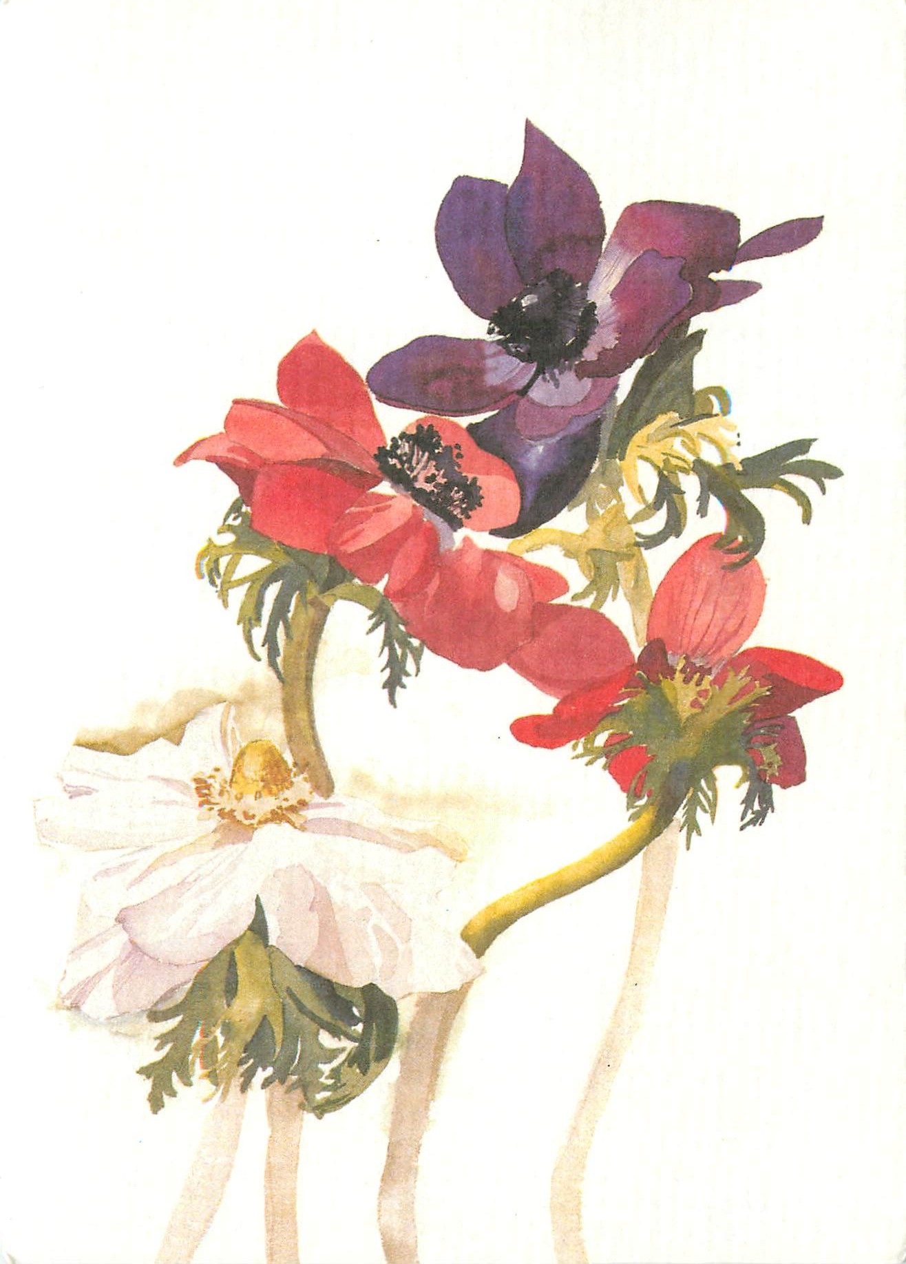 CPM Elizabeth O'Reilly Ireland For the well being of the world's children 