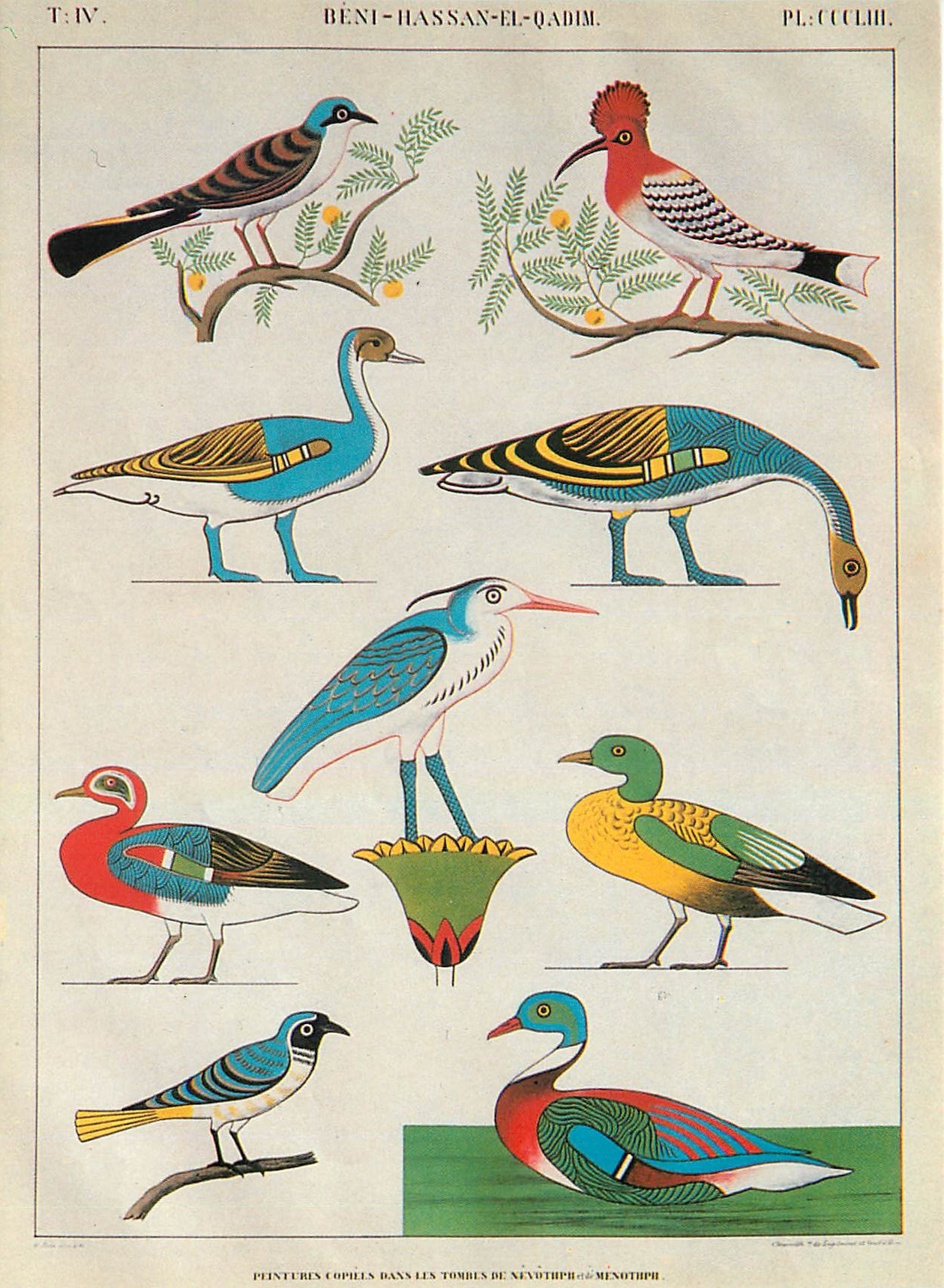 CPM Musee Champollion Figeac Lot Monument de l'Egypte et de la Nubie 